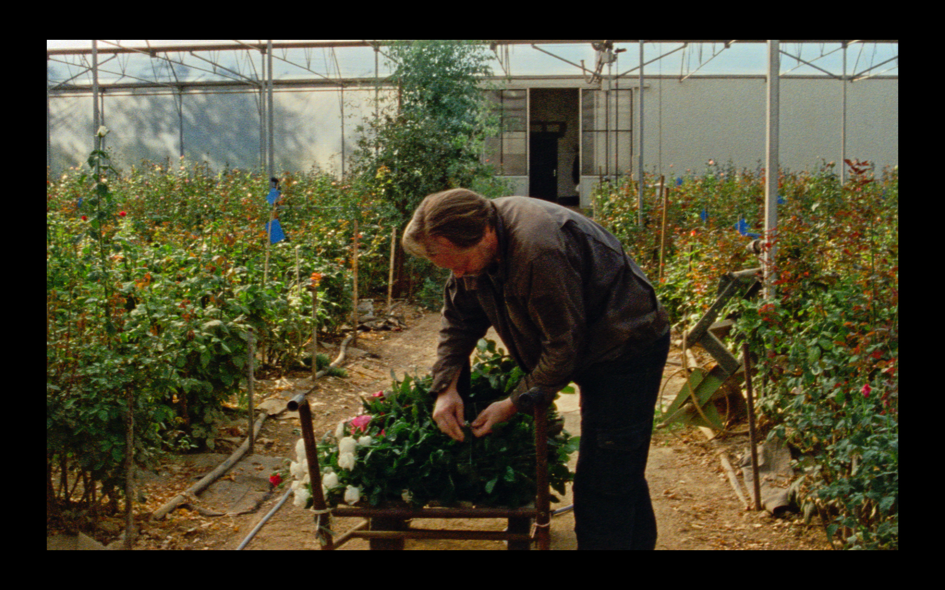 Screenshot 2026-02-10 at 17.07.34.png