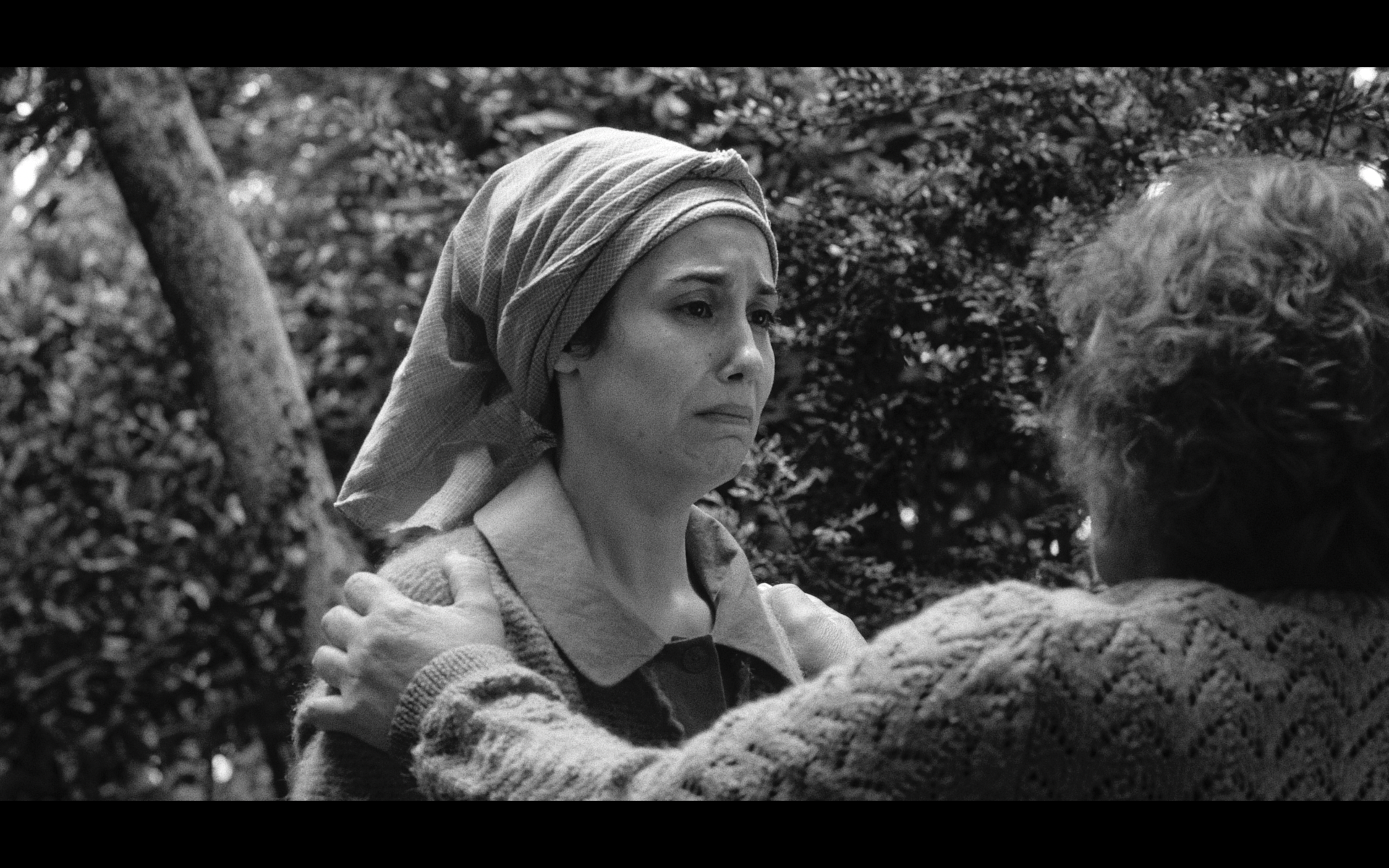 Screenshot 2025-11-11 at 13.07.09.png