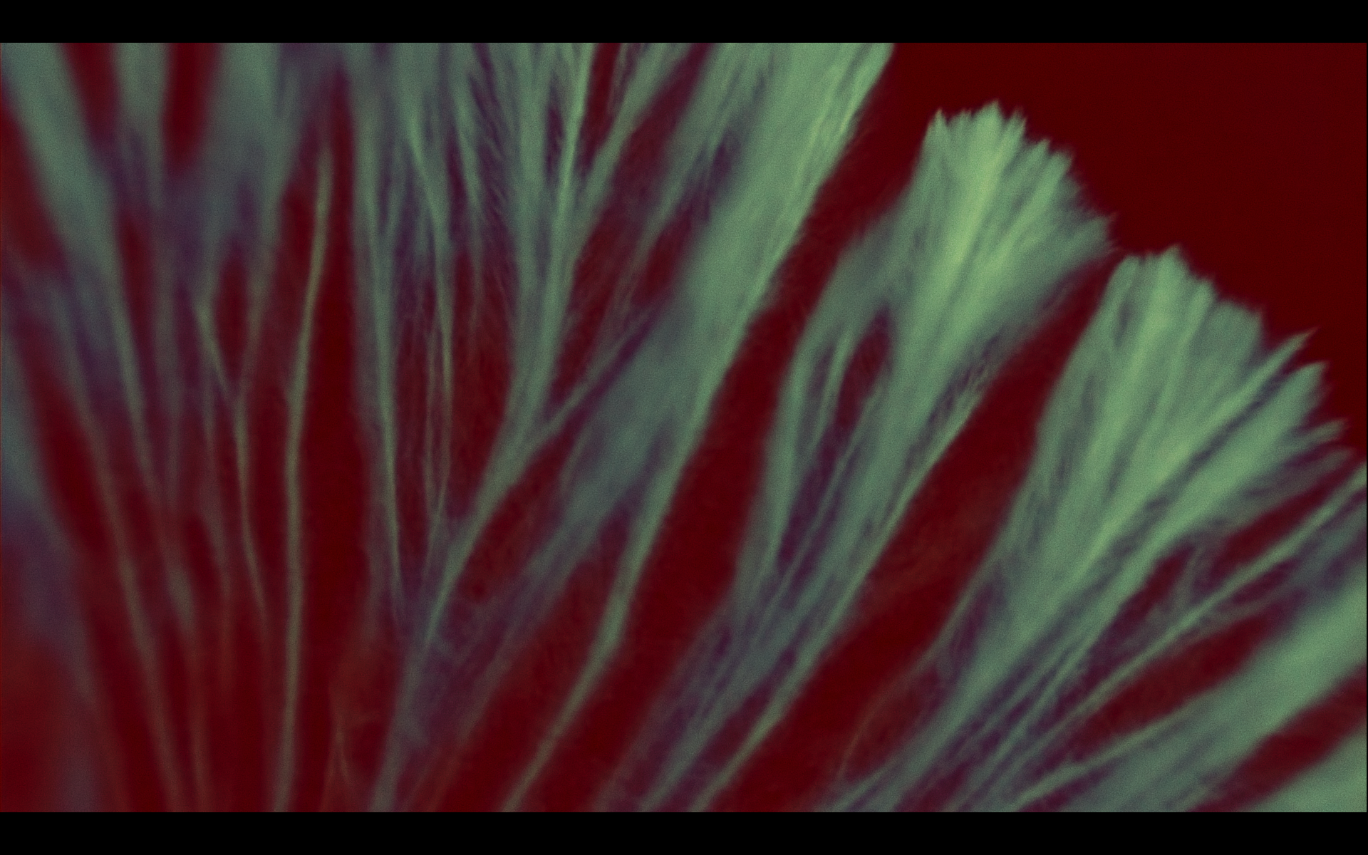 Screenshot 2026-02-26 at 12.34.13.png