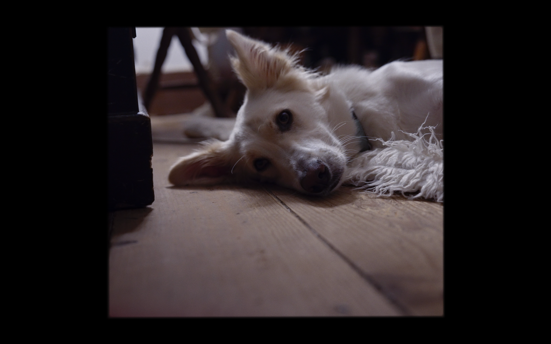 Screenshot 2026-02-11 at 11.34.41.png