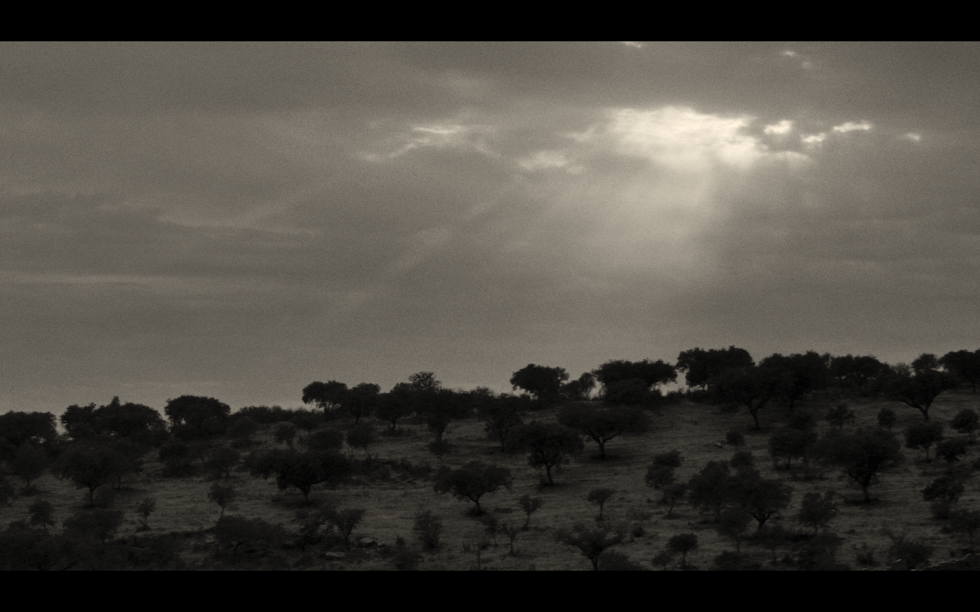 Screenshot 2026-02-12 at 15.17.21.png