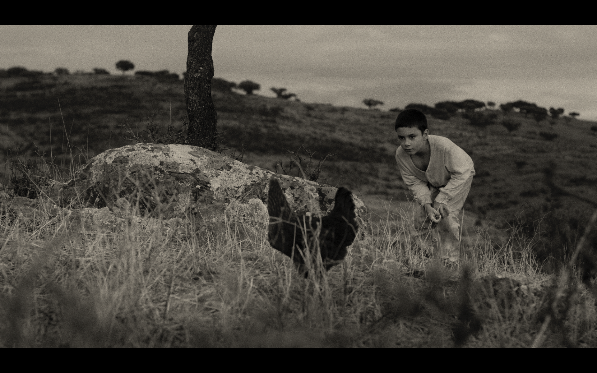 Screenshot 2026-02-12 at 15.11.52.png