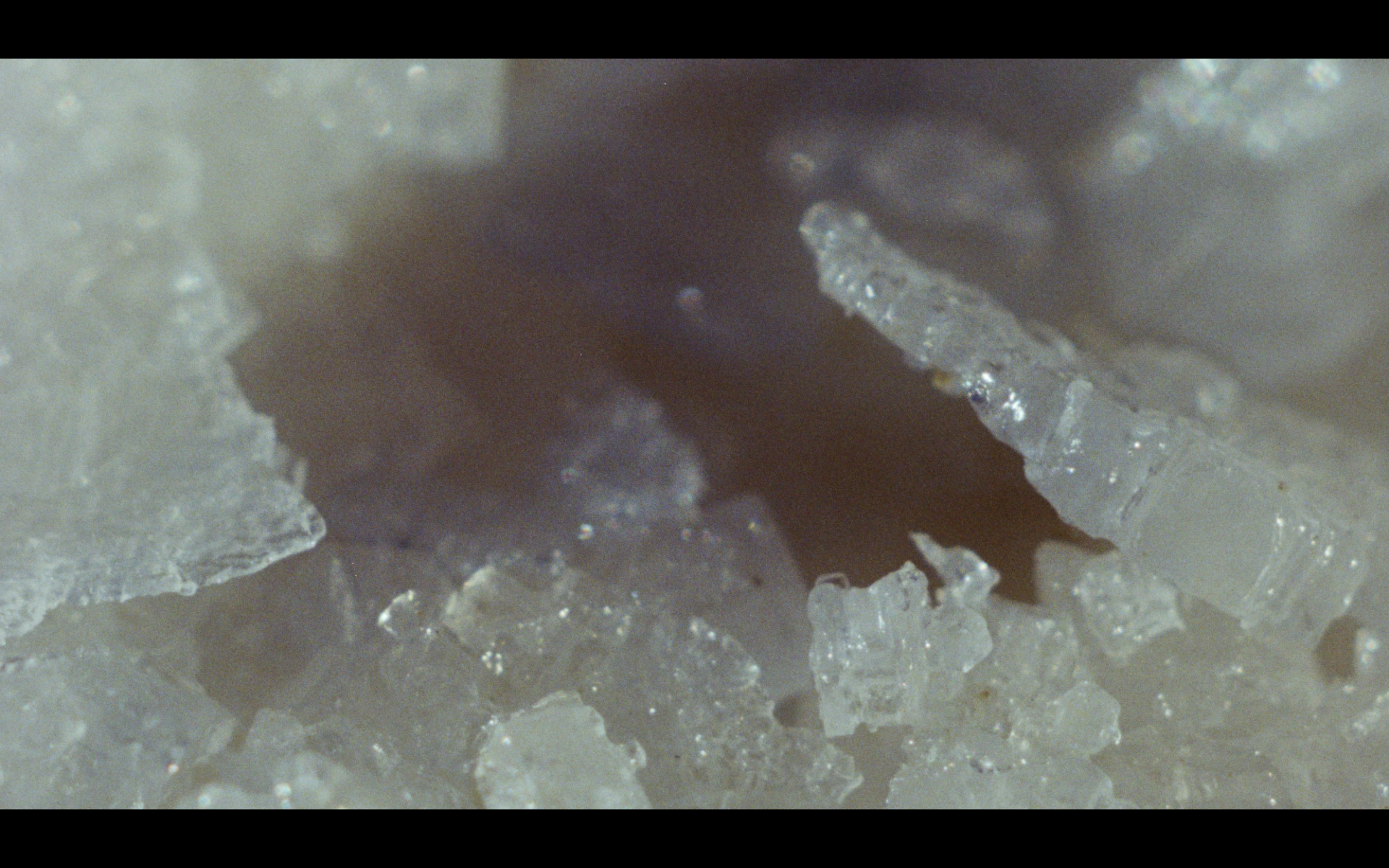 Screenshot 2026-02-13 at 13.24.12.png