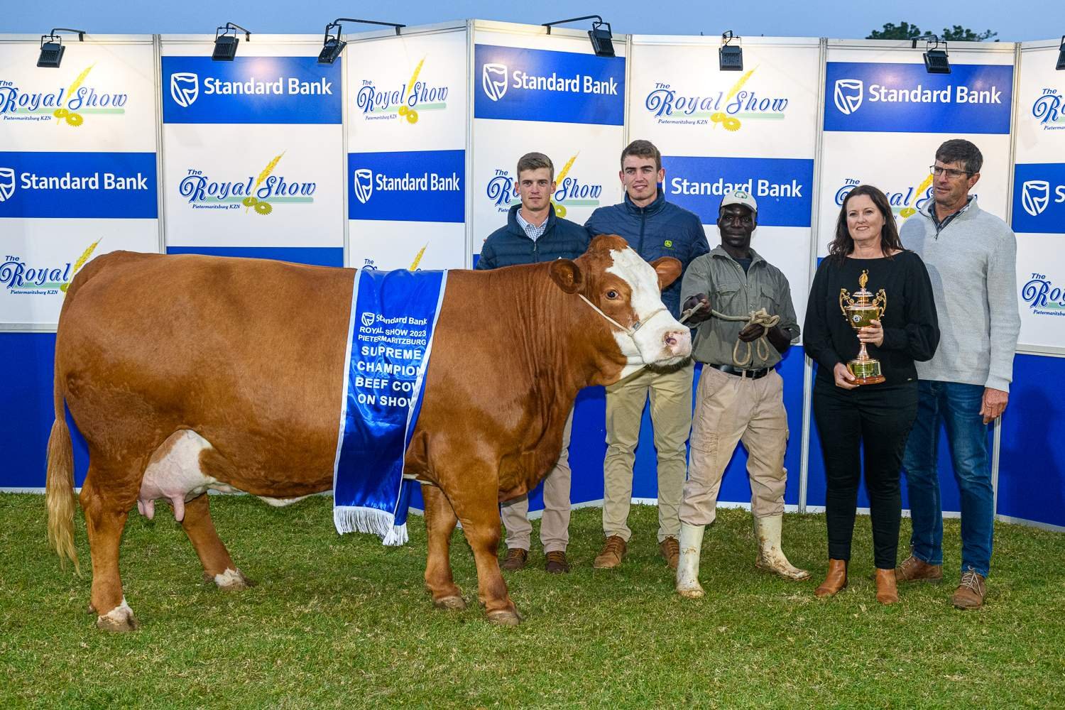 Gold-Cup-Supreme-Champion-Beef-Cow-Royal-Show-2023.jpg