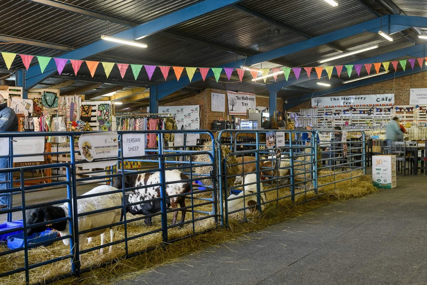 royal-show-sheep-and-wool-expo-2022-4.jpg