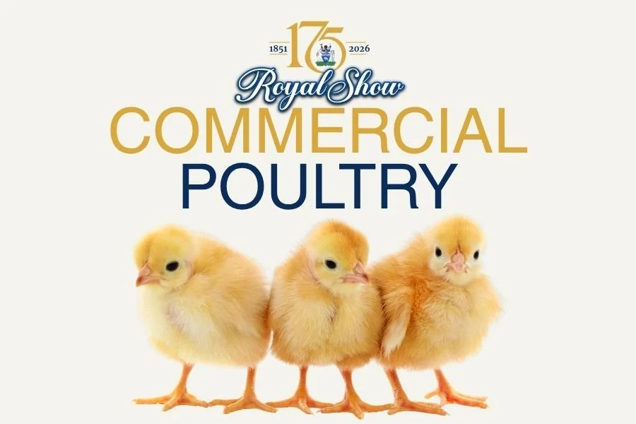 A Fresh Focus on Commercial Poultry at the 2026 Royal Show