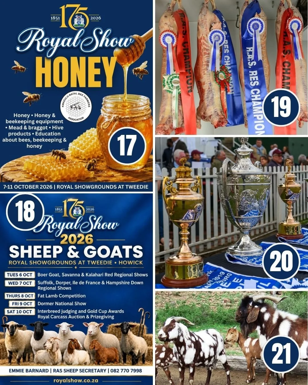 Royal_Show_2026_21_Days_21_Reasons_5.jpg
