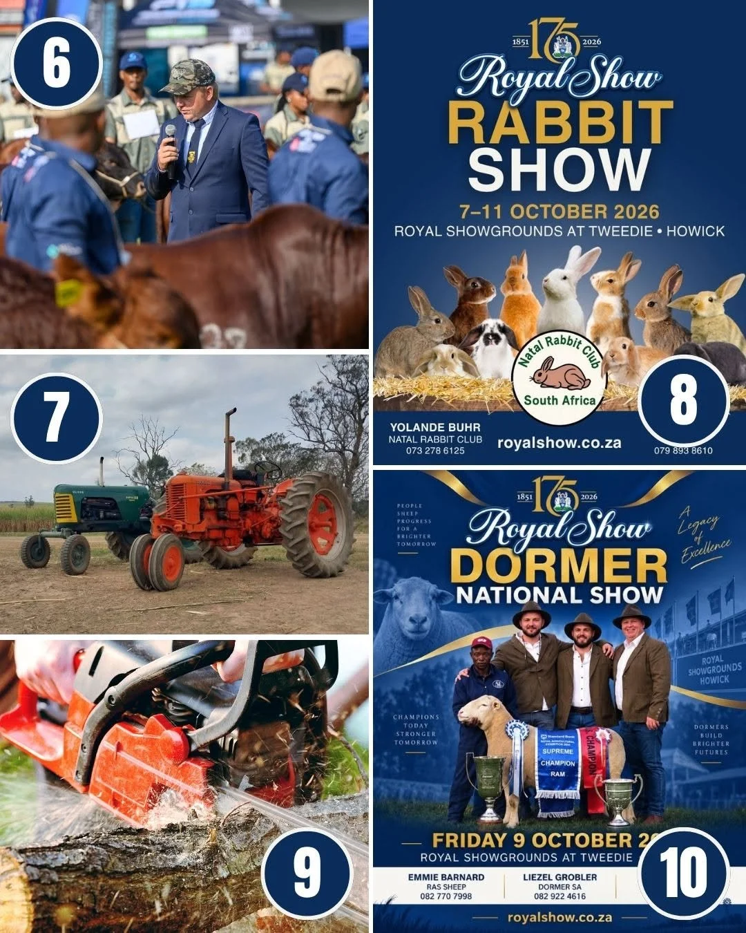 Royal_Show_2026_21_Days_21_Reasons_3.jpg