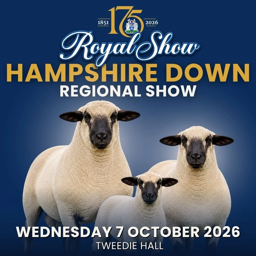 Hampshire_Down_Royal_Show_2026.jpg