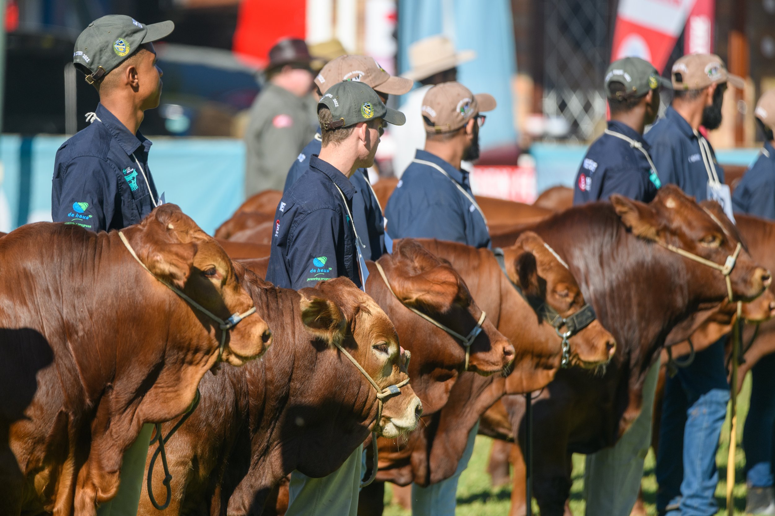 RoyalShow_2022_664.jpg