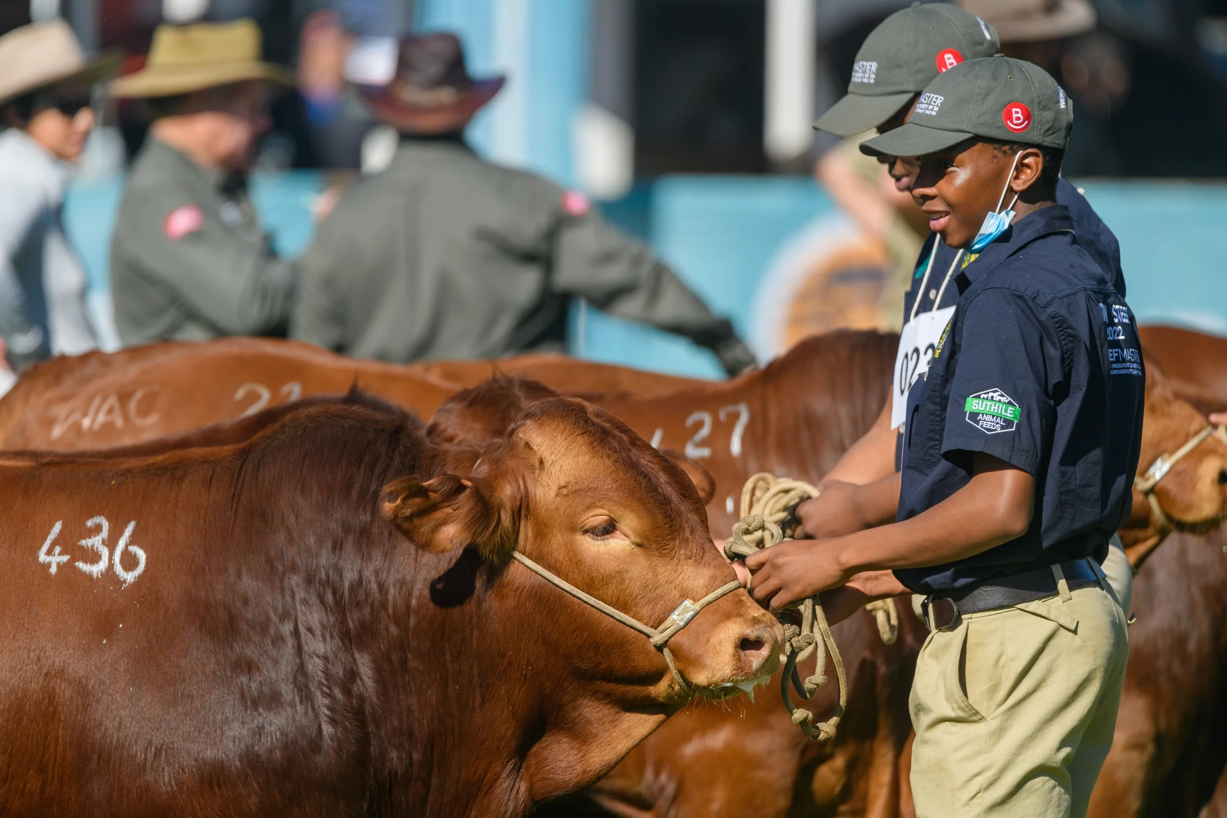 RoyalShow_2022_668.jpg