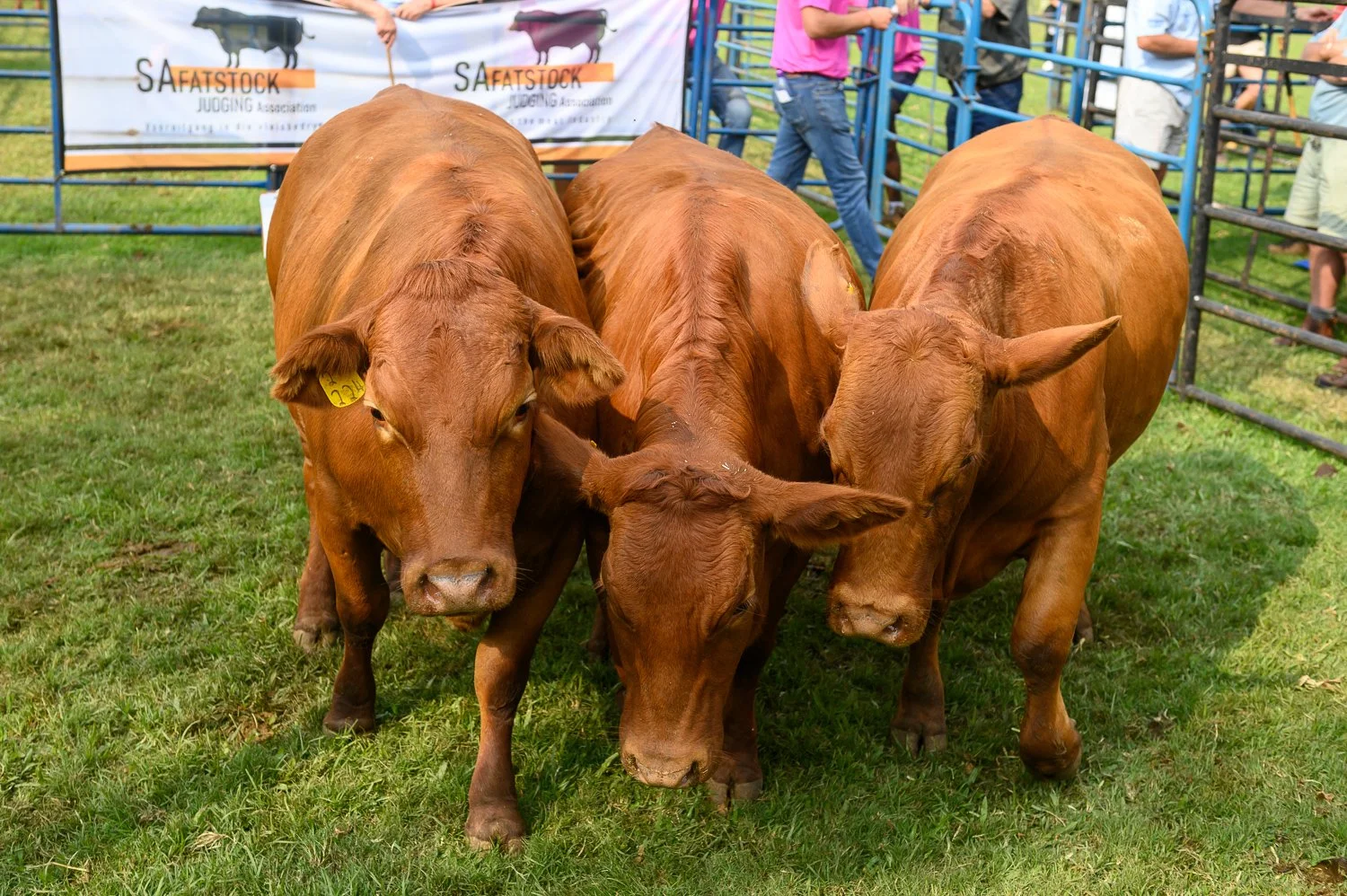 RoyalShow2024_1780.jpg