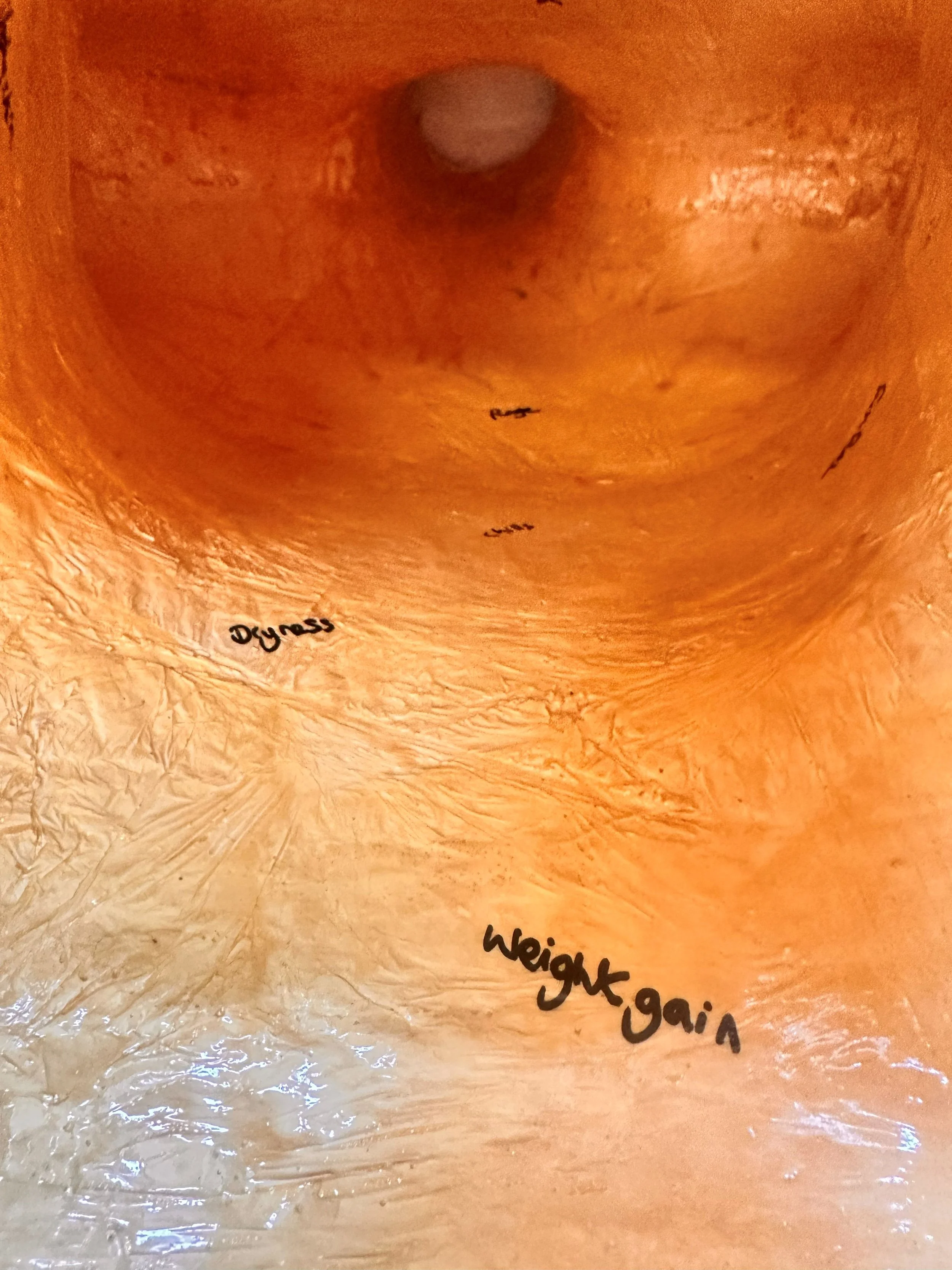 deborah-phillips-uk-artist-meno-brain_internal-cavity-with-text.jpg