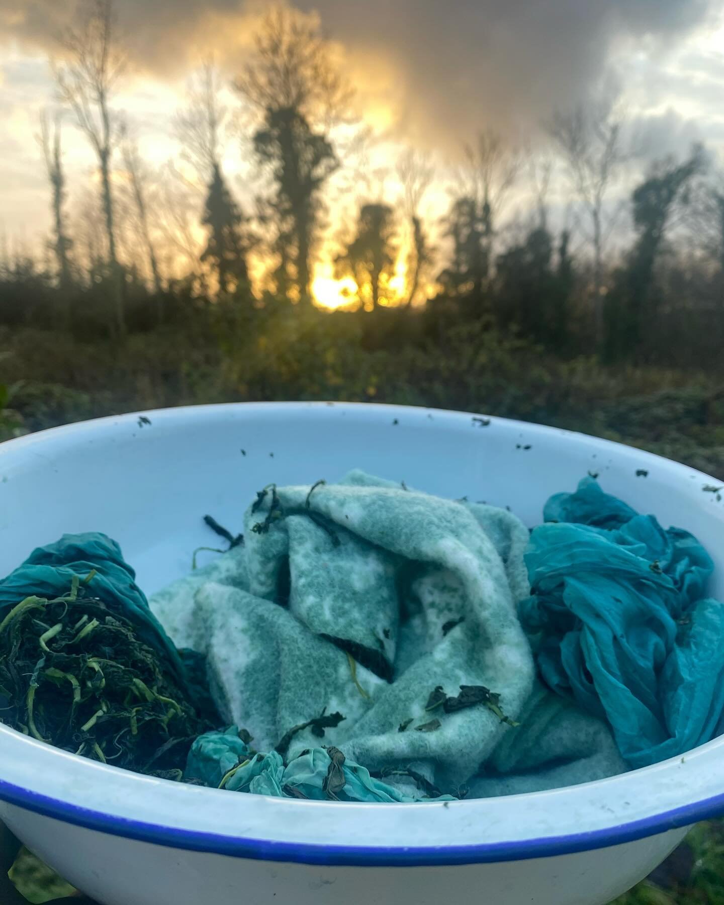Holding on to the last of the summer/autumn with some fresh leaf indigo dyeing-using the salt method- I&rsquo;m loving the turquoise tones-There is the possibility of snow ❄️ next week so I&rsquo;m thinking my indigo although in the polytunnel won&rs