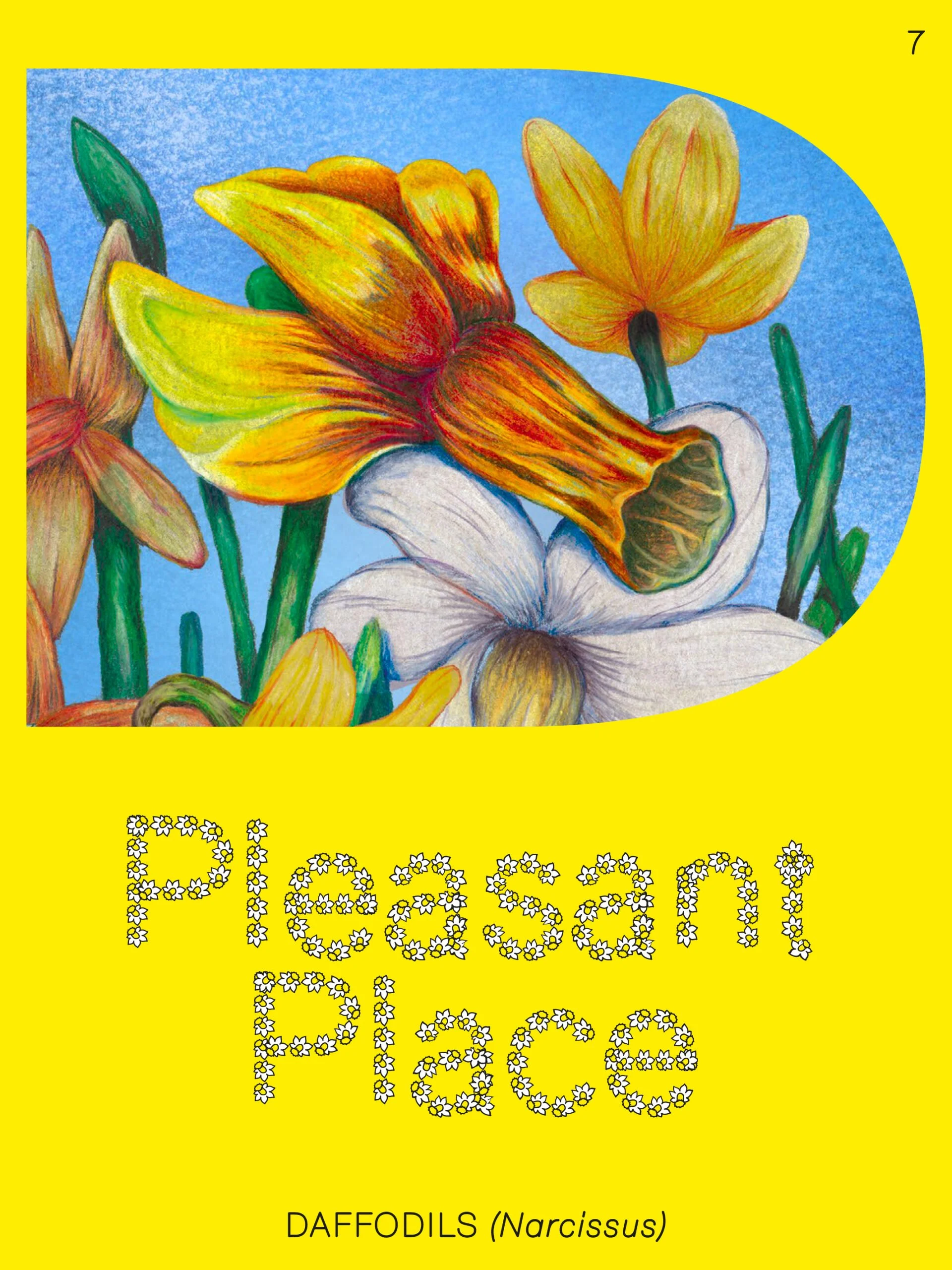daffodilfrontcover-scaled.jpg