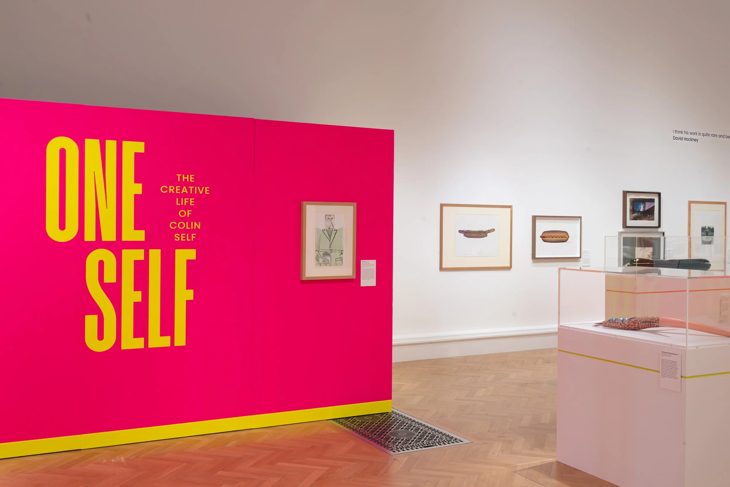 One Self: The Creative Life of Colin Self