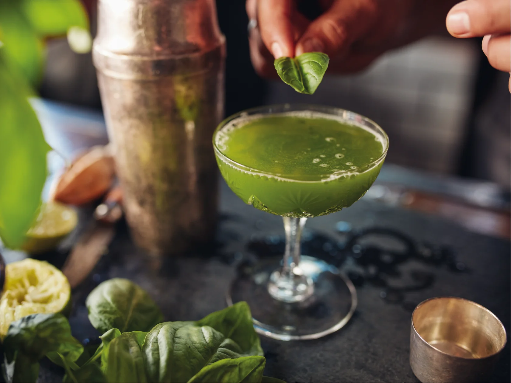 Vogelfrei Basil Smash