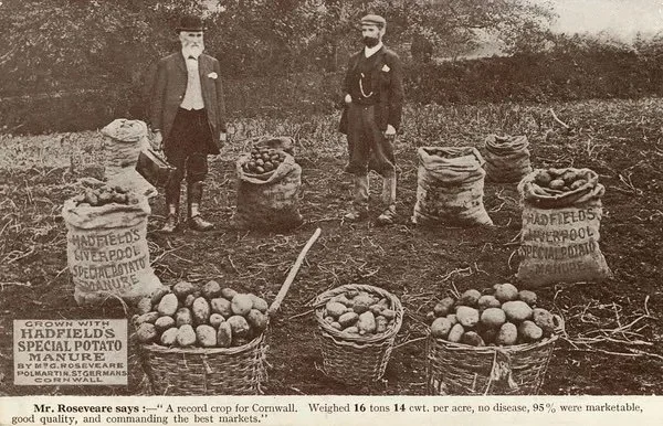 In Season, In Place - Rediscovering What The Land Once Gave Us