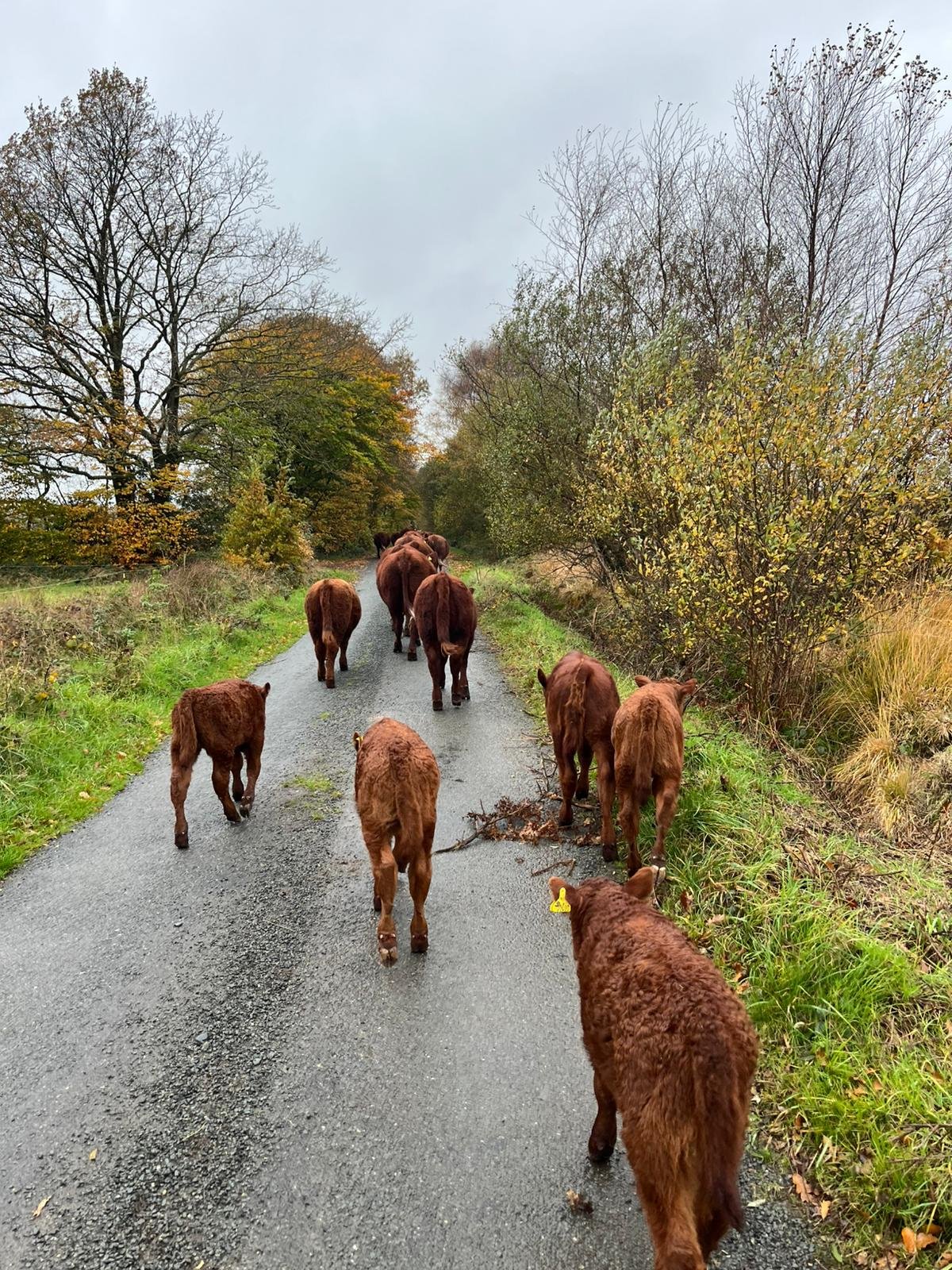 PHOTO-2025-11-18-16-33-10 2.jpg