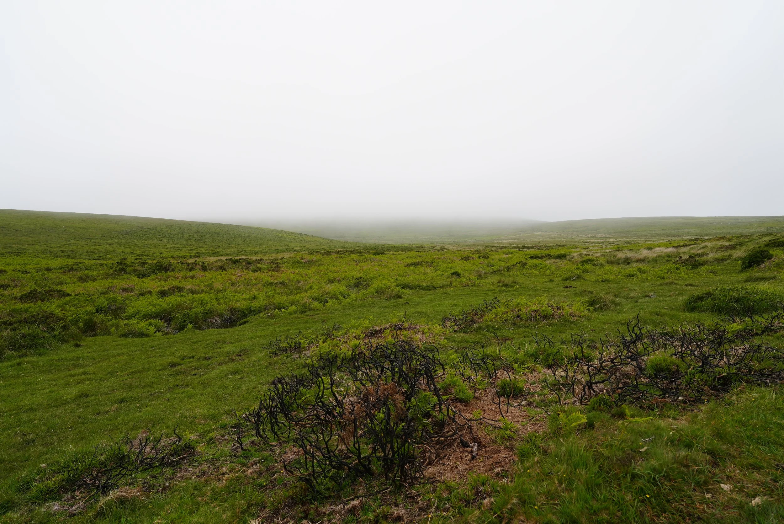 DSC01296.JPG
