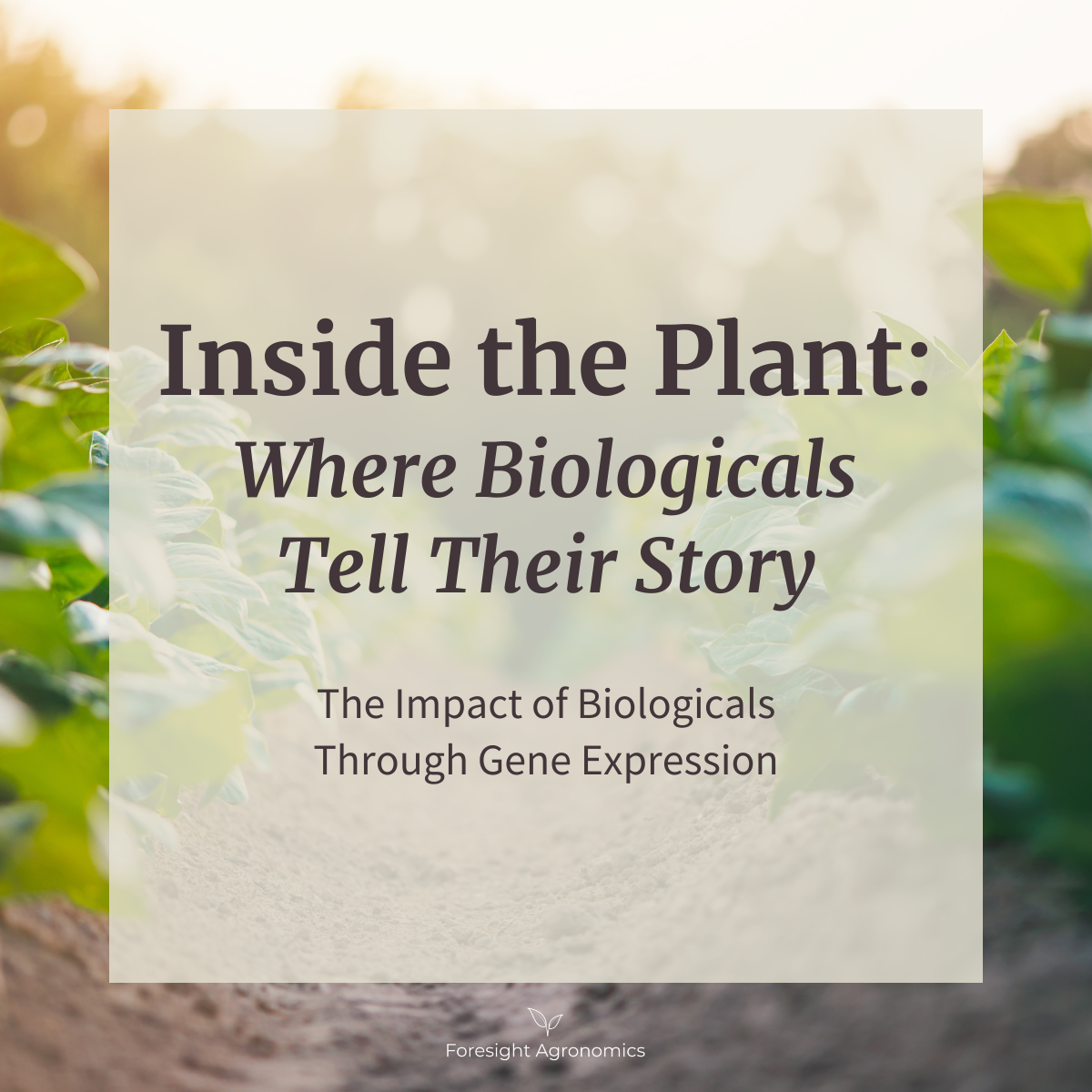 Inside the Plant: Where Biologicals Tell Their Story
