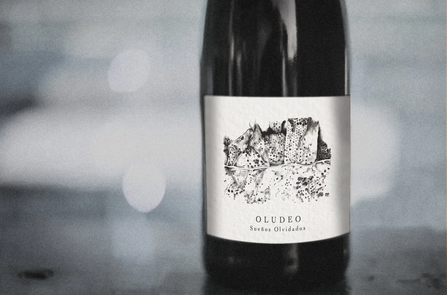 oludeo mock up.jpg