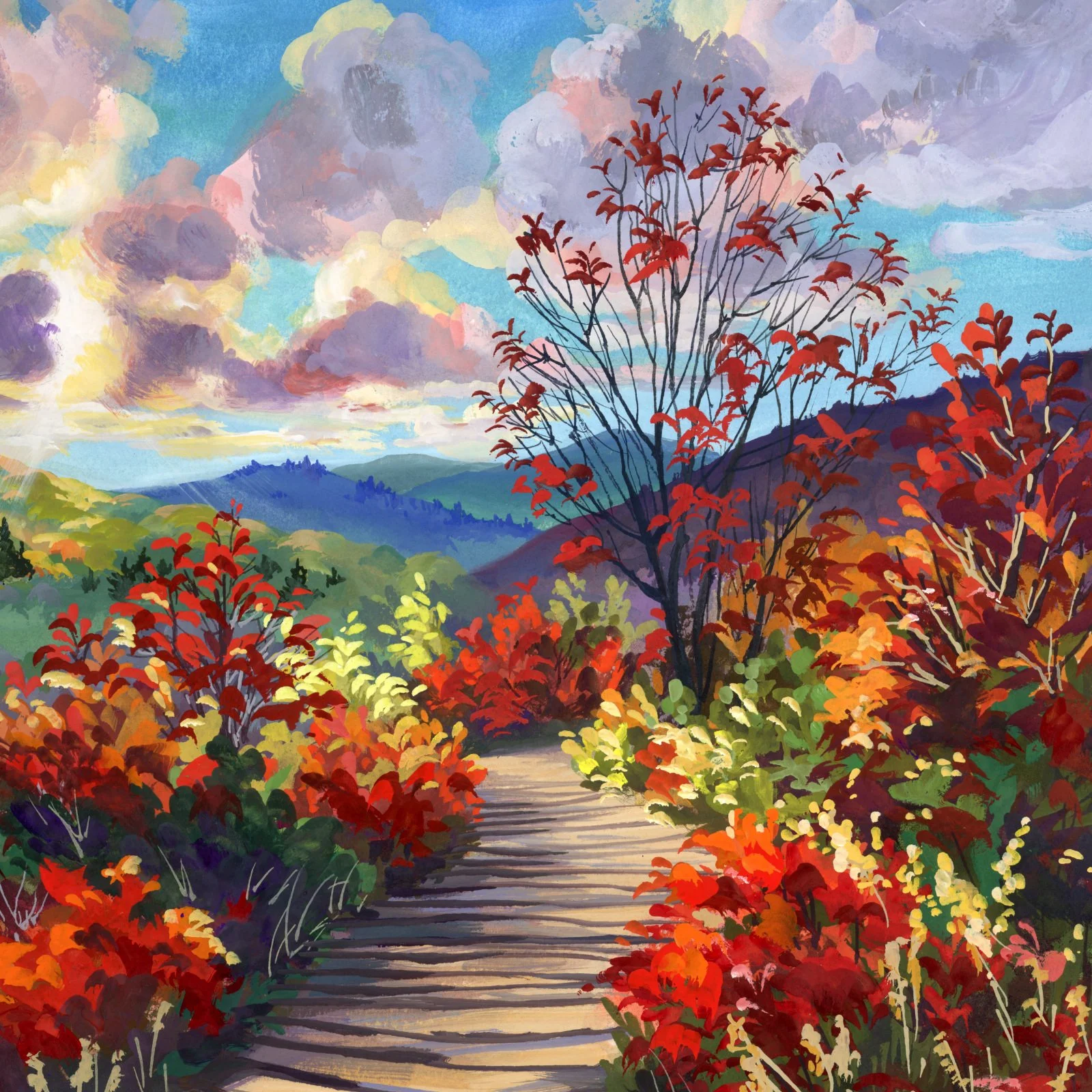 2026_6scarletfields_b.jpg