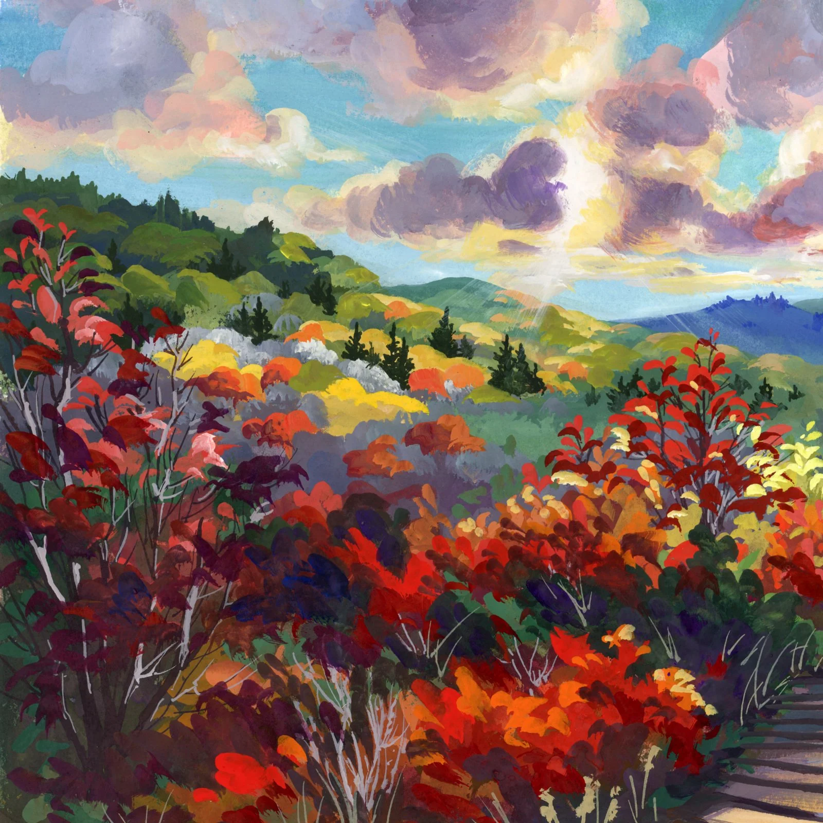 2026_6scarletfields_d.jpg