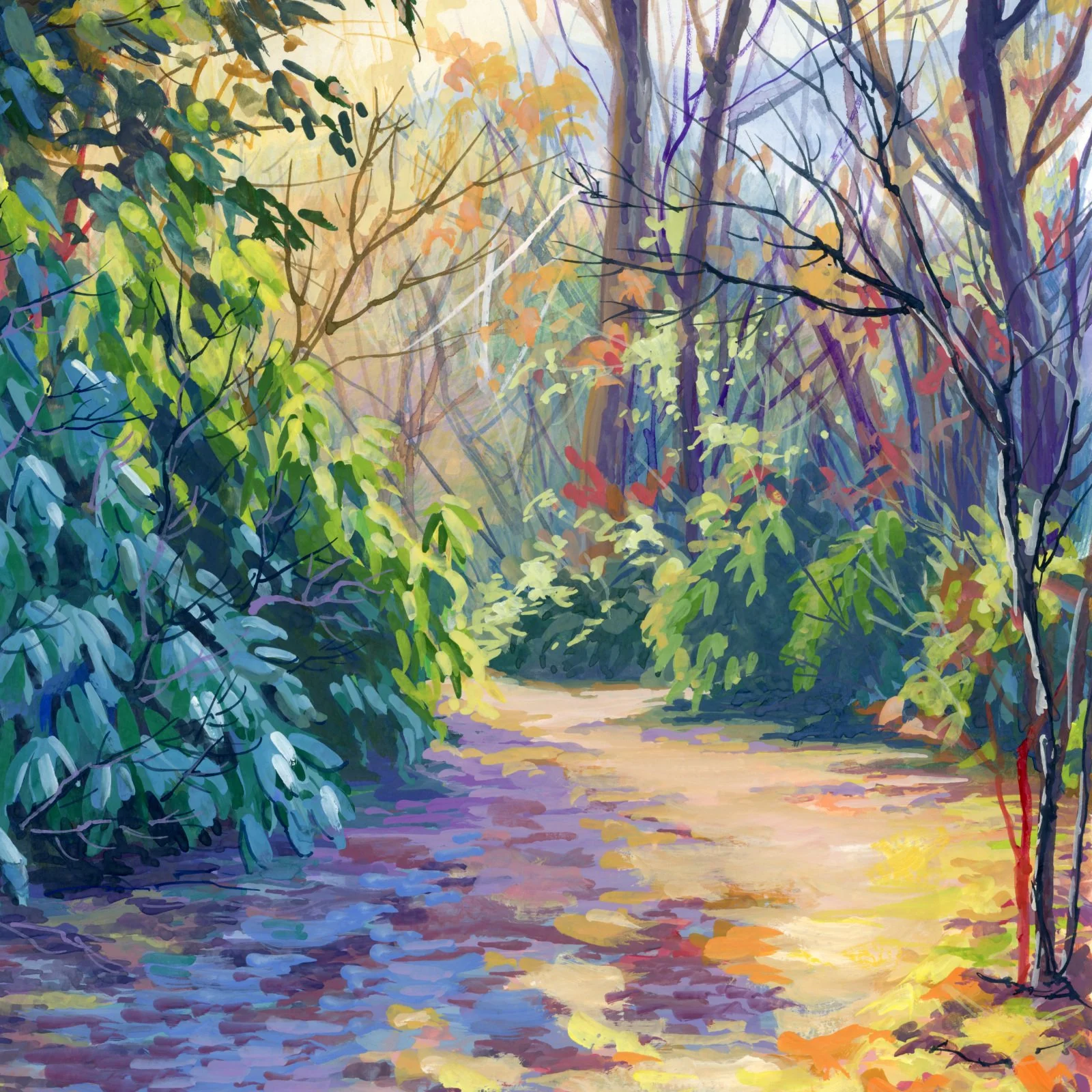 2025_2softwinter_c.jpg