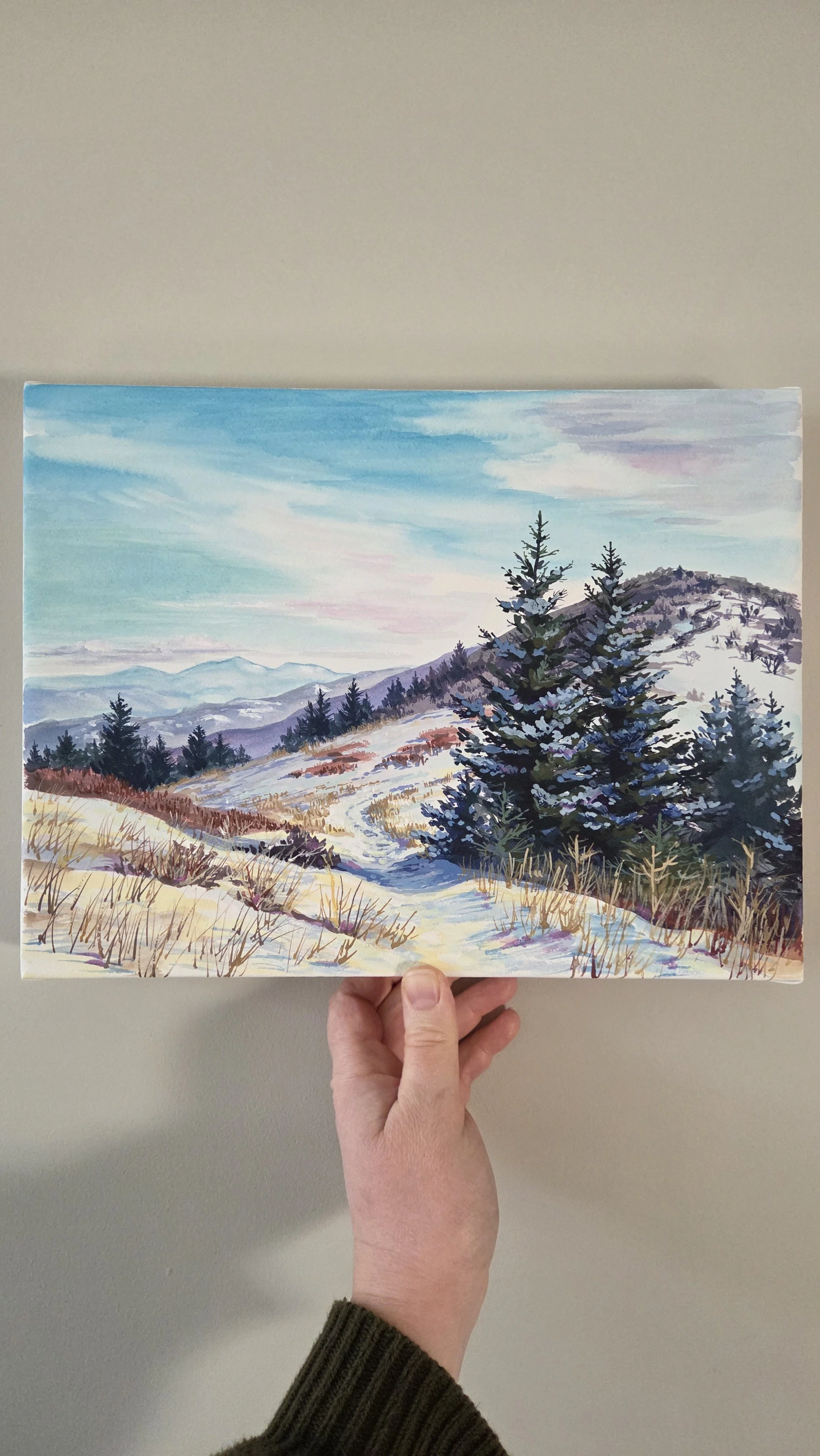 Winter on Roan Mountain