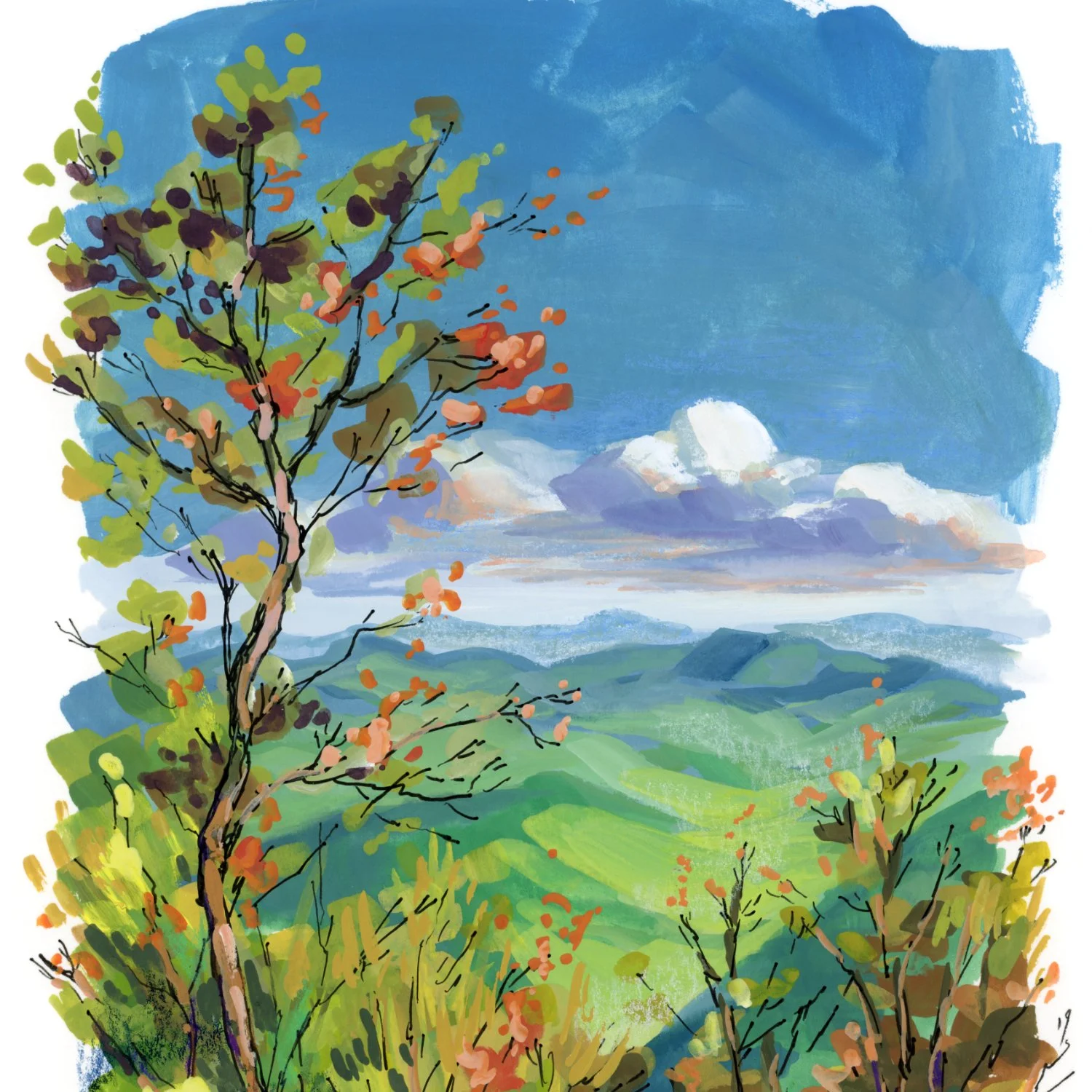 2024_windowmtns_03b.jpg