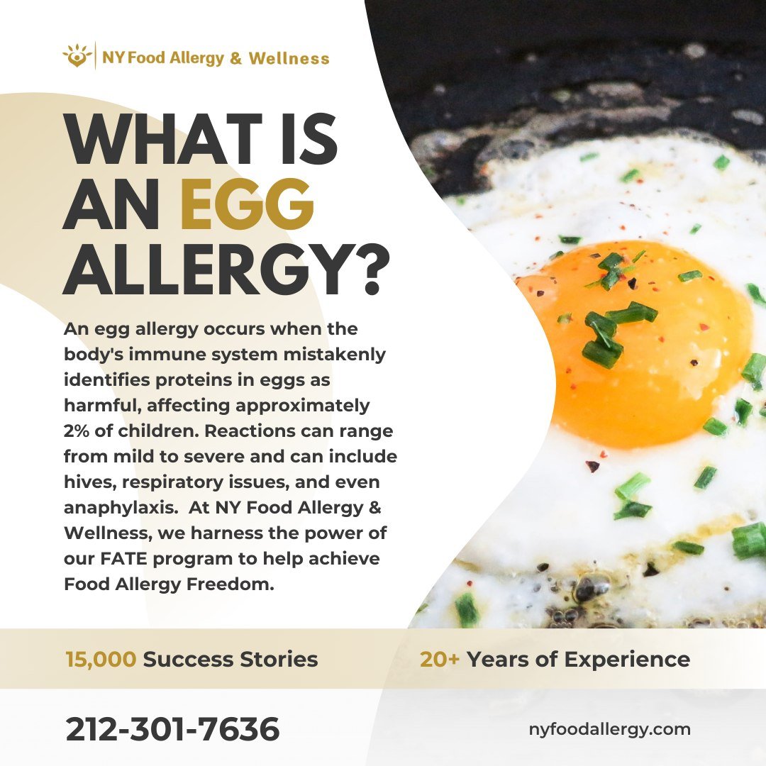 Navigate the complexities of egg allergies with NY Food Allergy &amp; Wellness. Affecting 2% of children, egg allergies are an immune response to proteins found in eggs, leading to a spectrum of symptoms from hives to anaphylaxis. With over 15,000 su