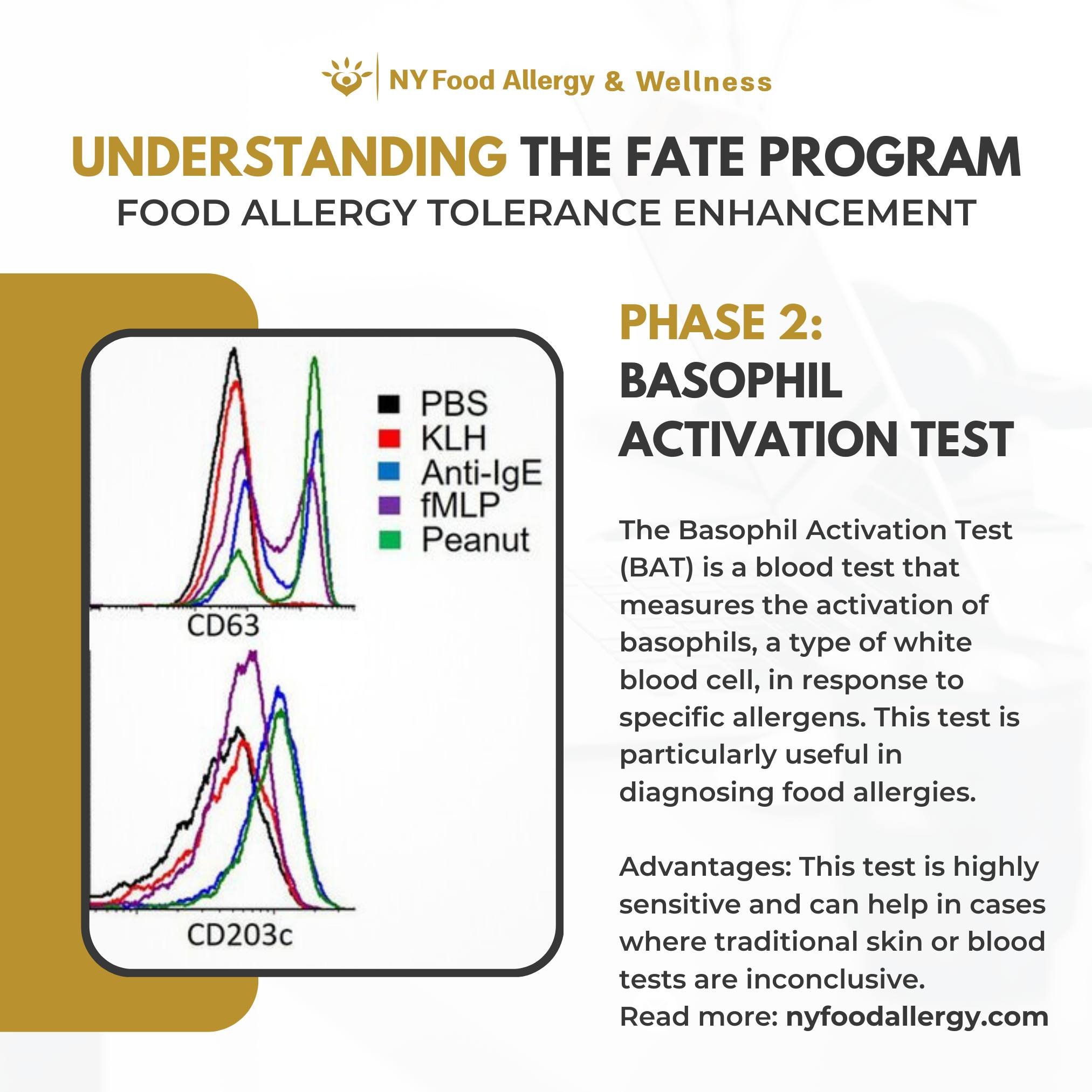 🧬 Phase 2 of our FATE program involves the Basophil Activation Test (BAT), a cutting-edge diagnostic tool that's crucial in accurately identifying your specific allergies. NYAIRL, part of NYFA, is New York's ONLY lab with DOH-approved, CLIA-certifie