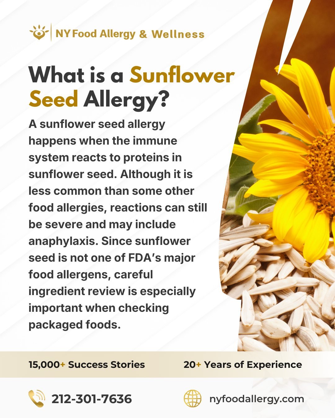 🌻 A sunflower seed allergy happens when the immune system reacts to proteins in sunflower seed. Although it is talked about less often than some other food allergies, reactions can still be severe and may include anaphylaxis. Since sunflower seed is