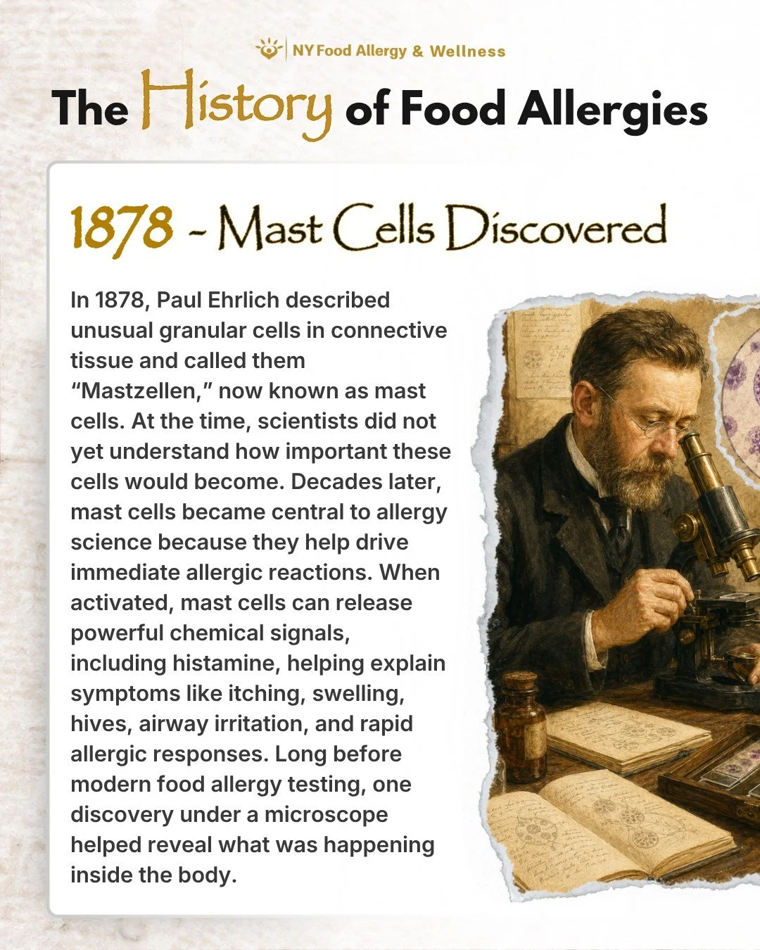 🔬 Some food allergy history started under a microscope.

In 1878, Paul Ehrlich described the cells we now call mast cells. Their full role was not understood at the time, but they later became one of the key pieces in understanding immediate allergi