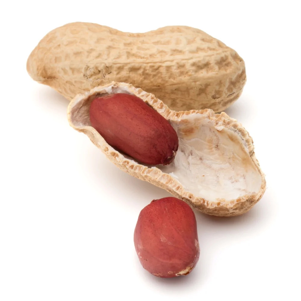 What are 10 Common Food Allergies?