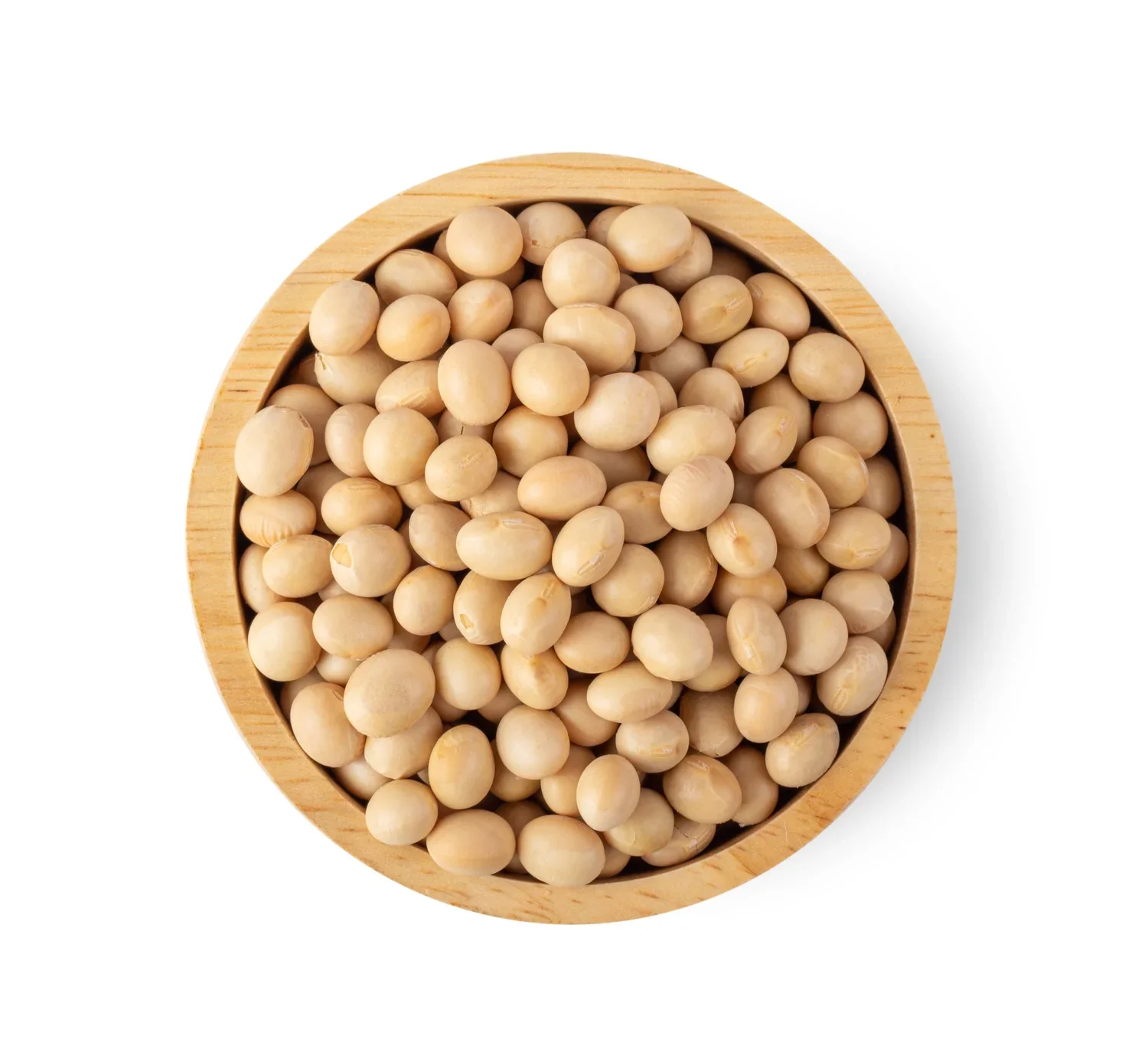 Soy Beans