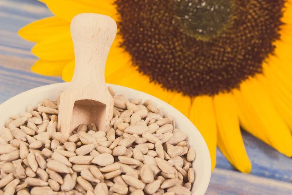 Sunflower Seeds