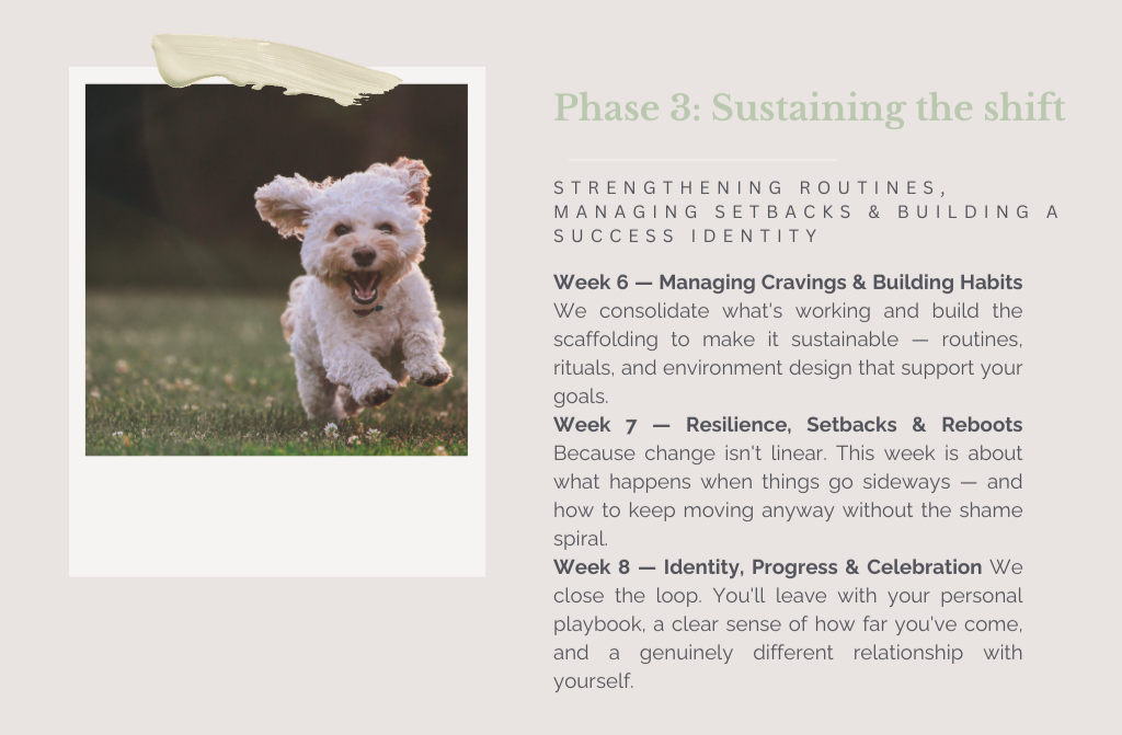 A cute white fluffy dog running on grass with a blurred outdoor background.