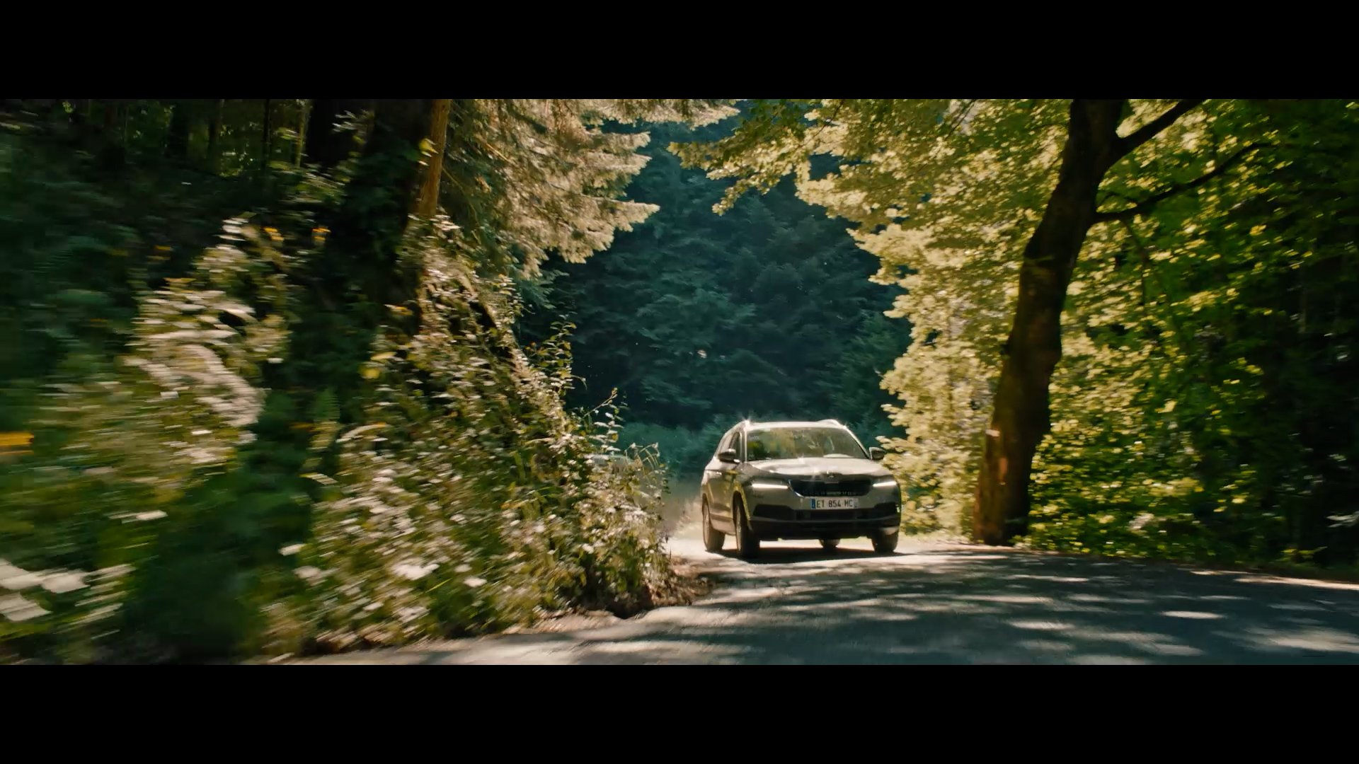 Skoda 2.00_00_36_06.Still005.jpg
