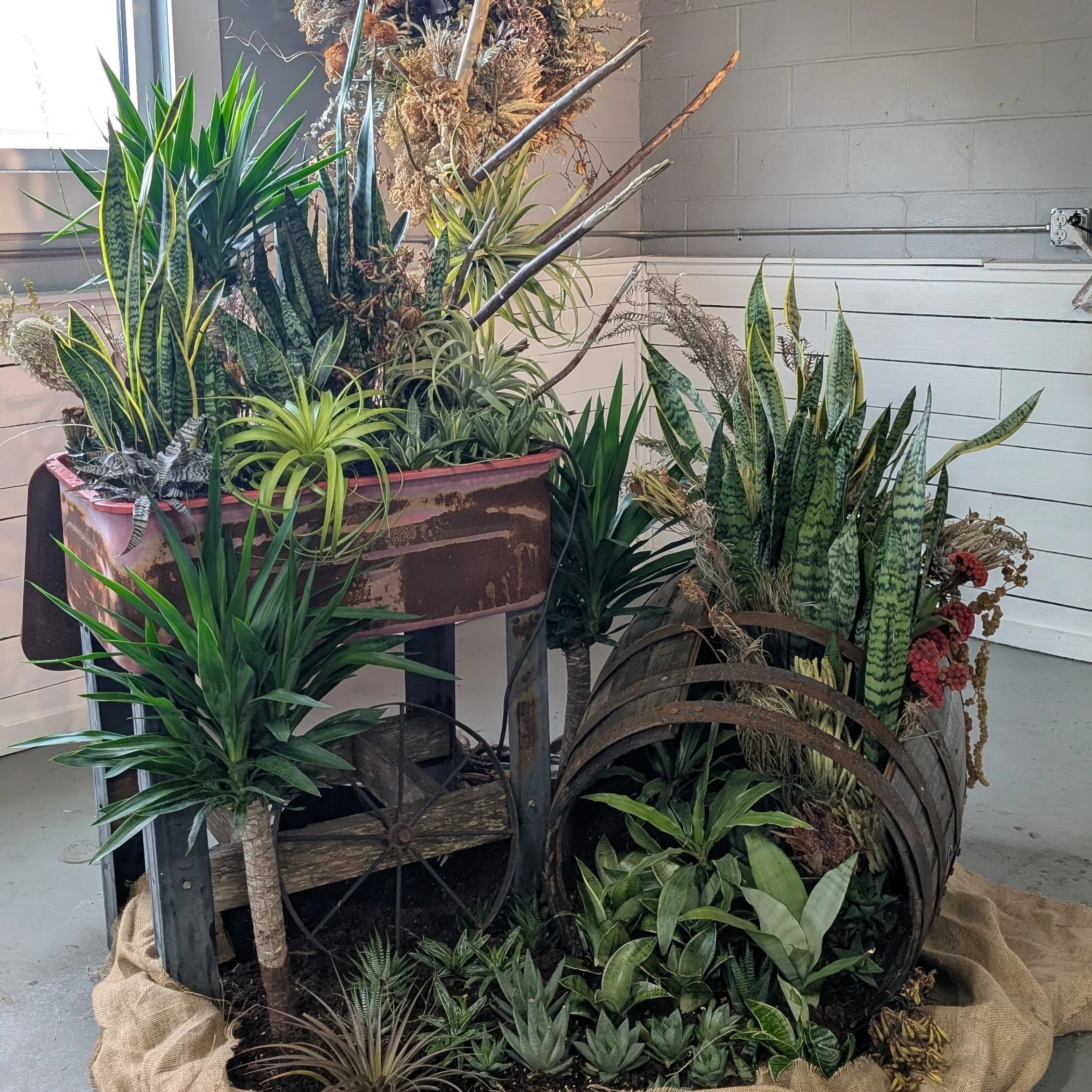 Buzzkill Cuts Installation