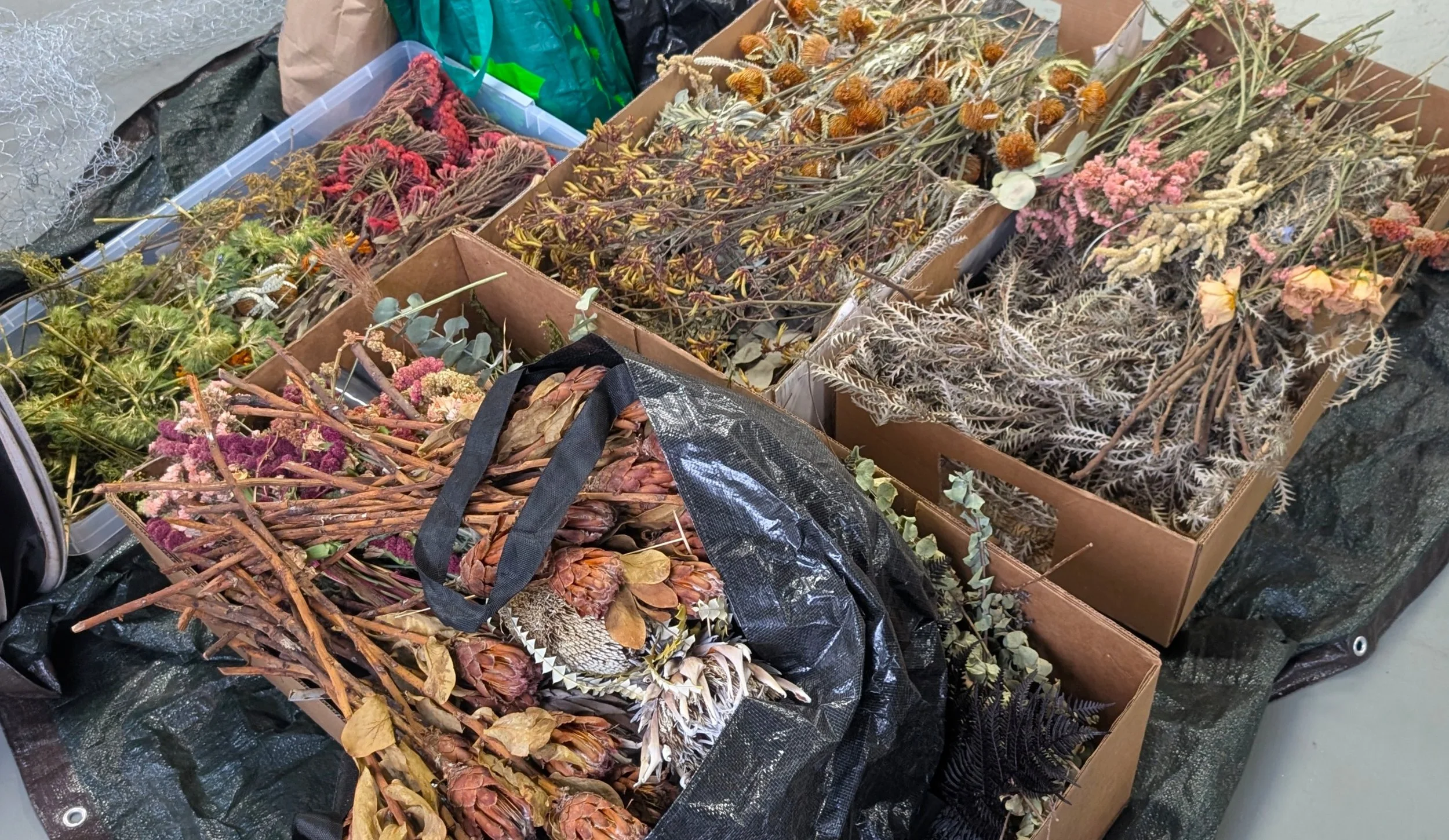 Dried flowers