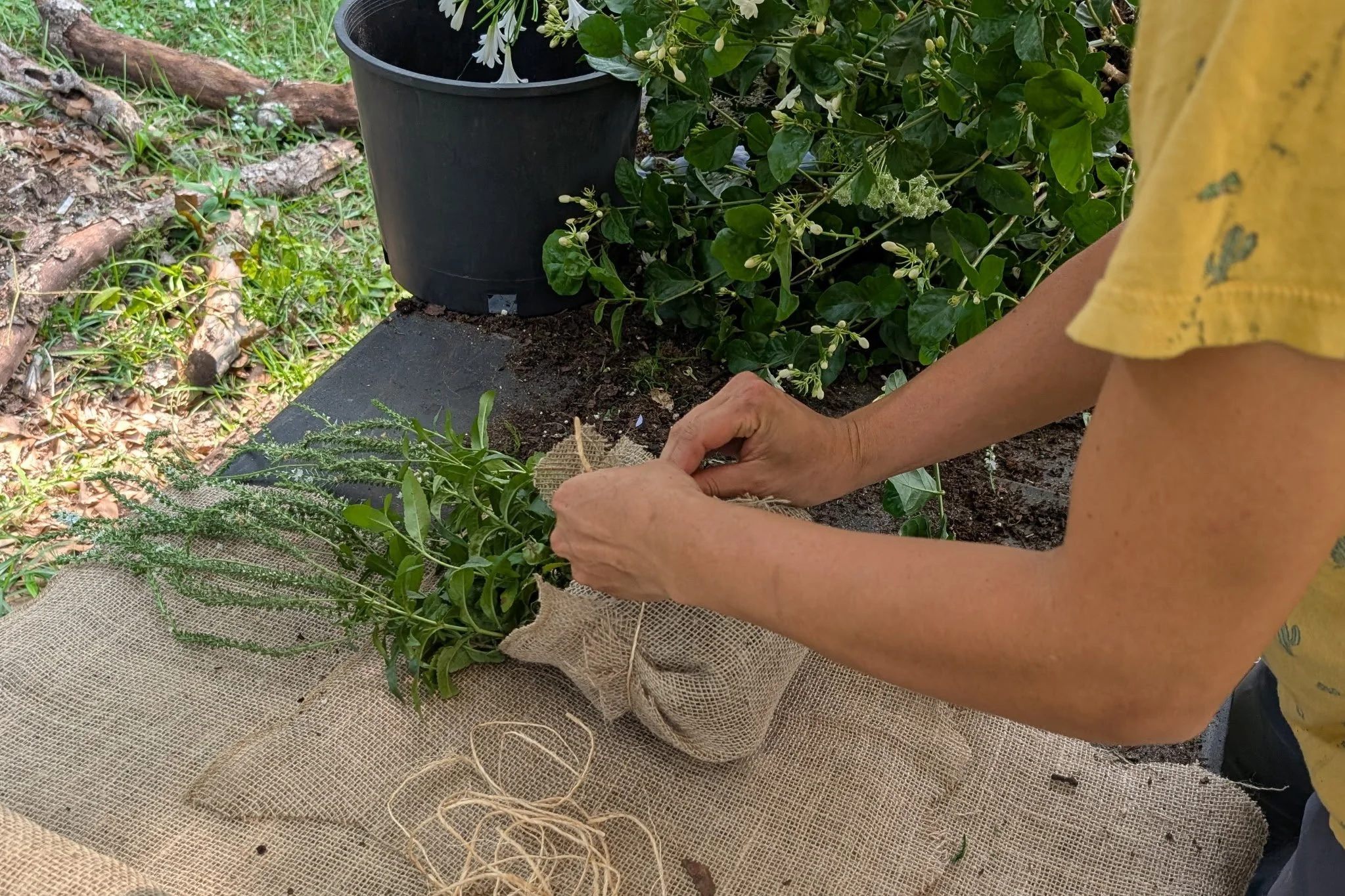 I wrap each plant for delivery after the wedding