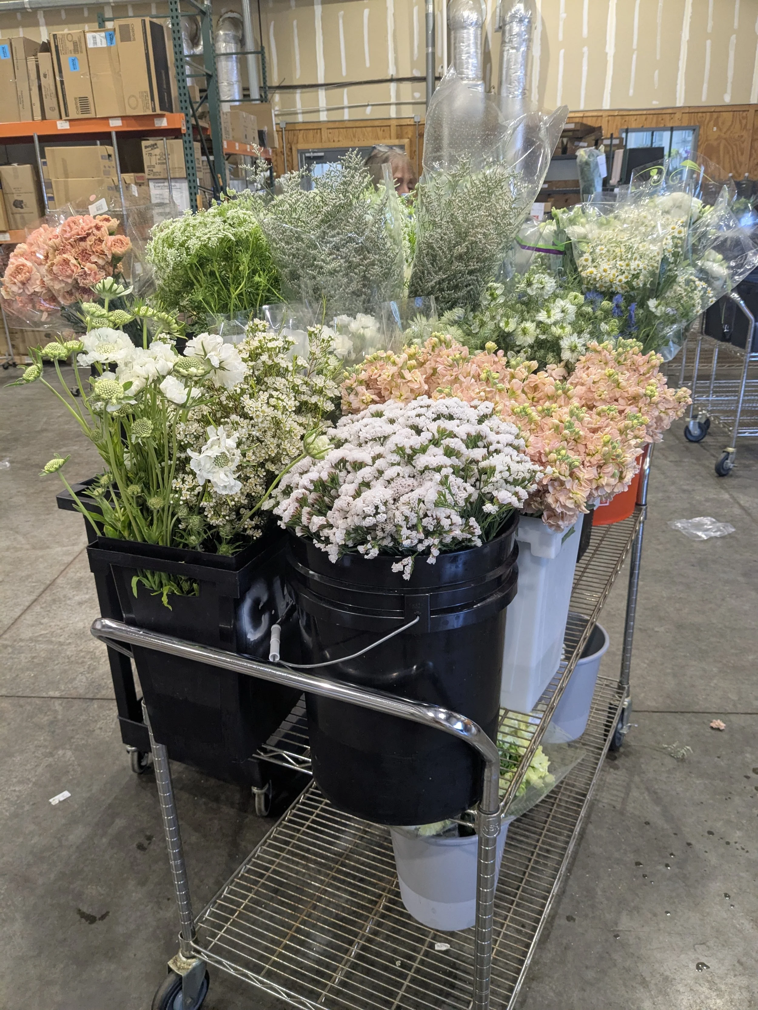 Arrangements are filled in using cut flowers