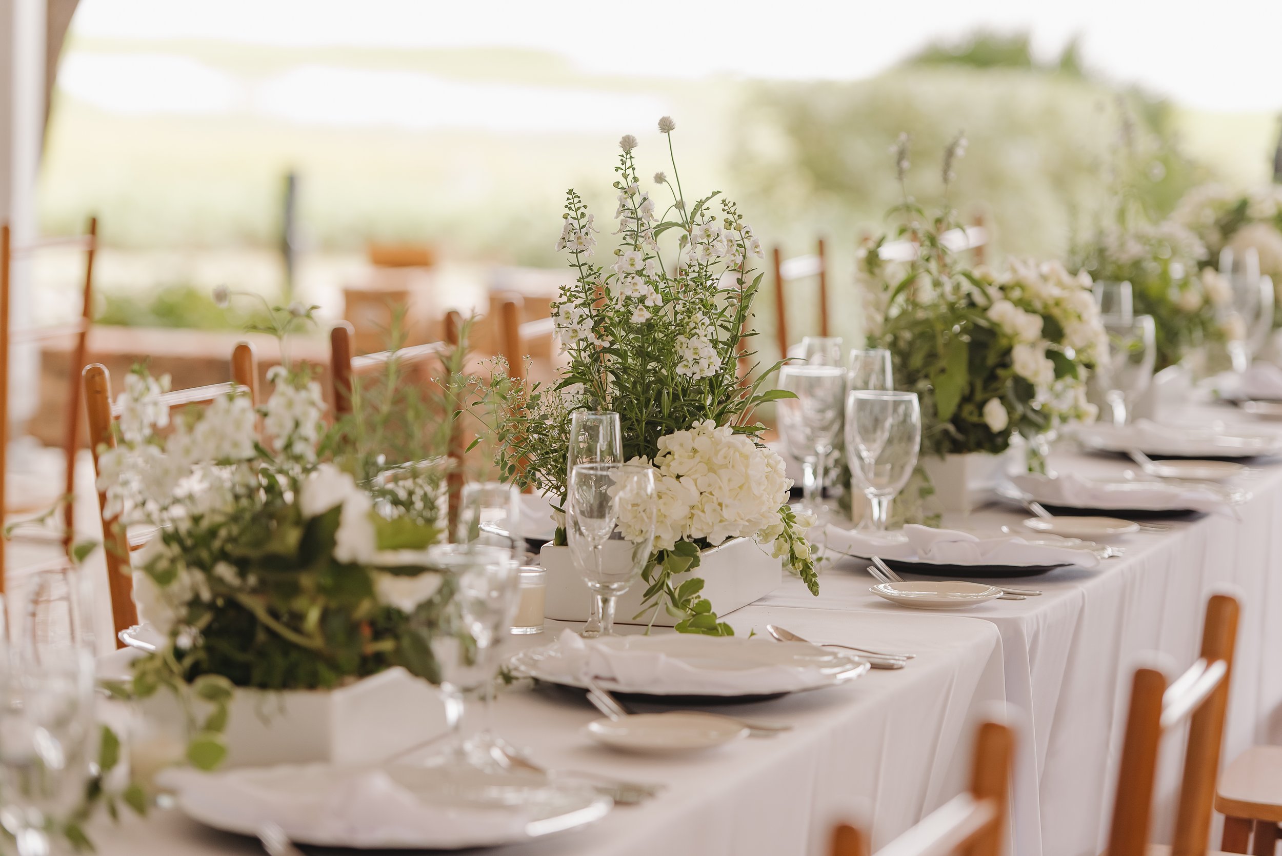 Lowndes Grove Wedding