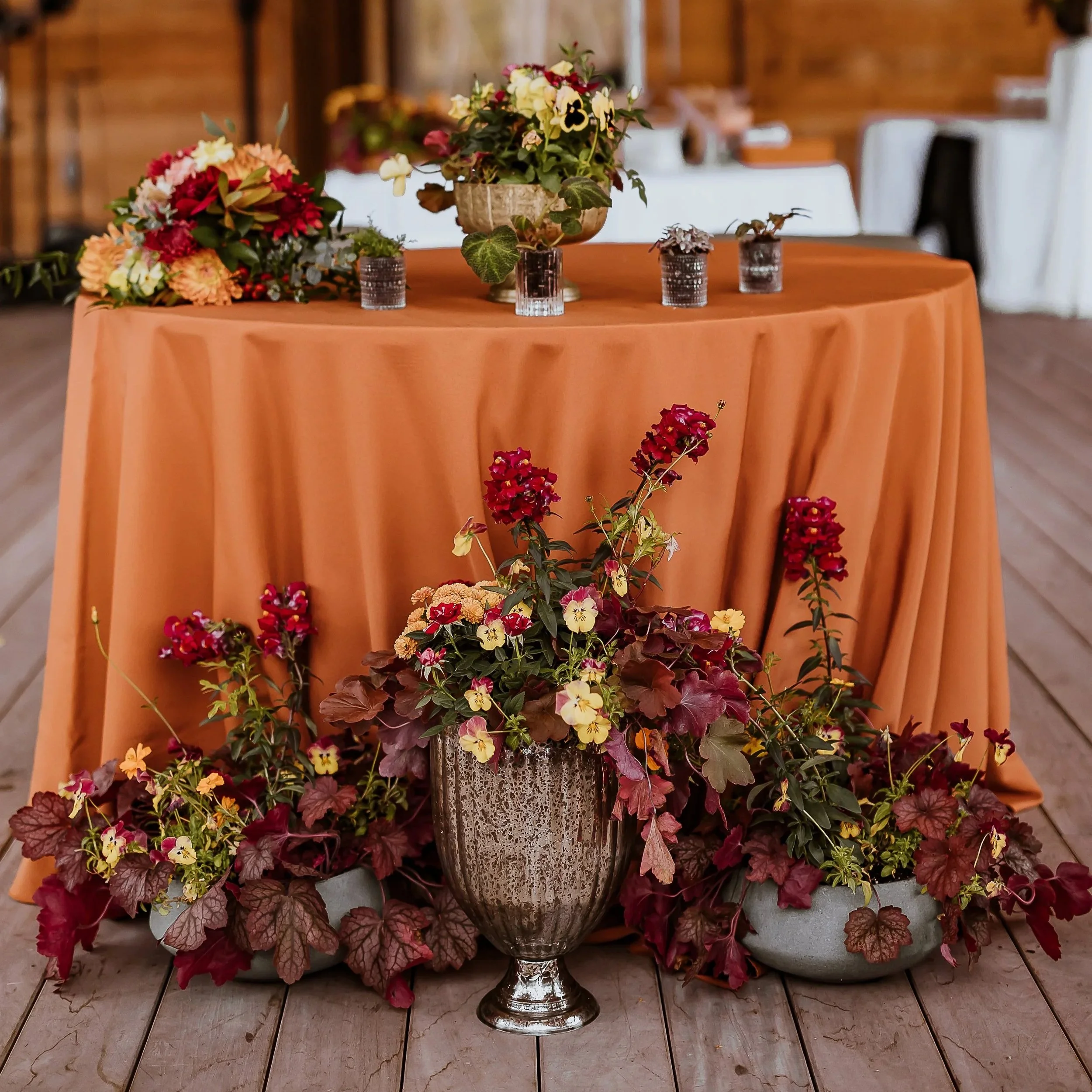 Ashley River Park Wedding