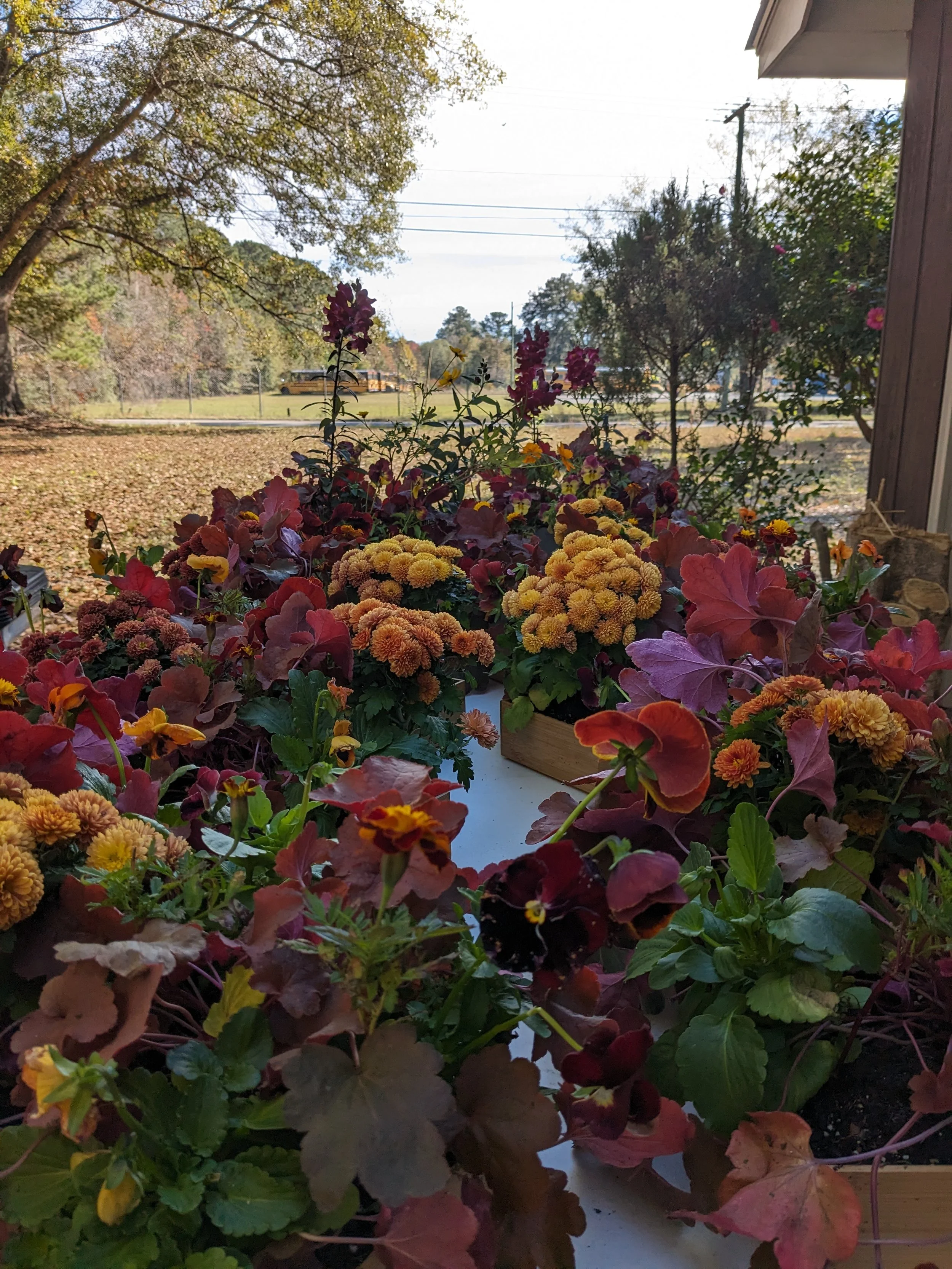 PXL_20231128_170401905.jpg