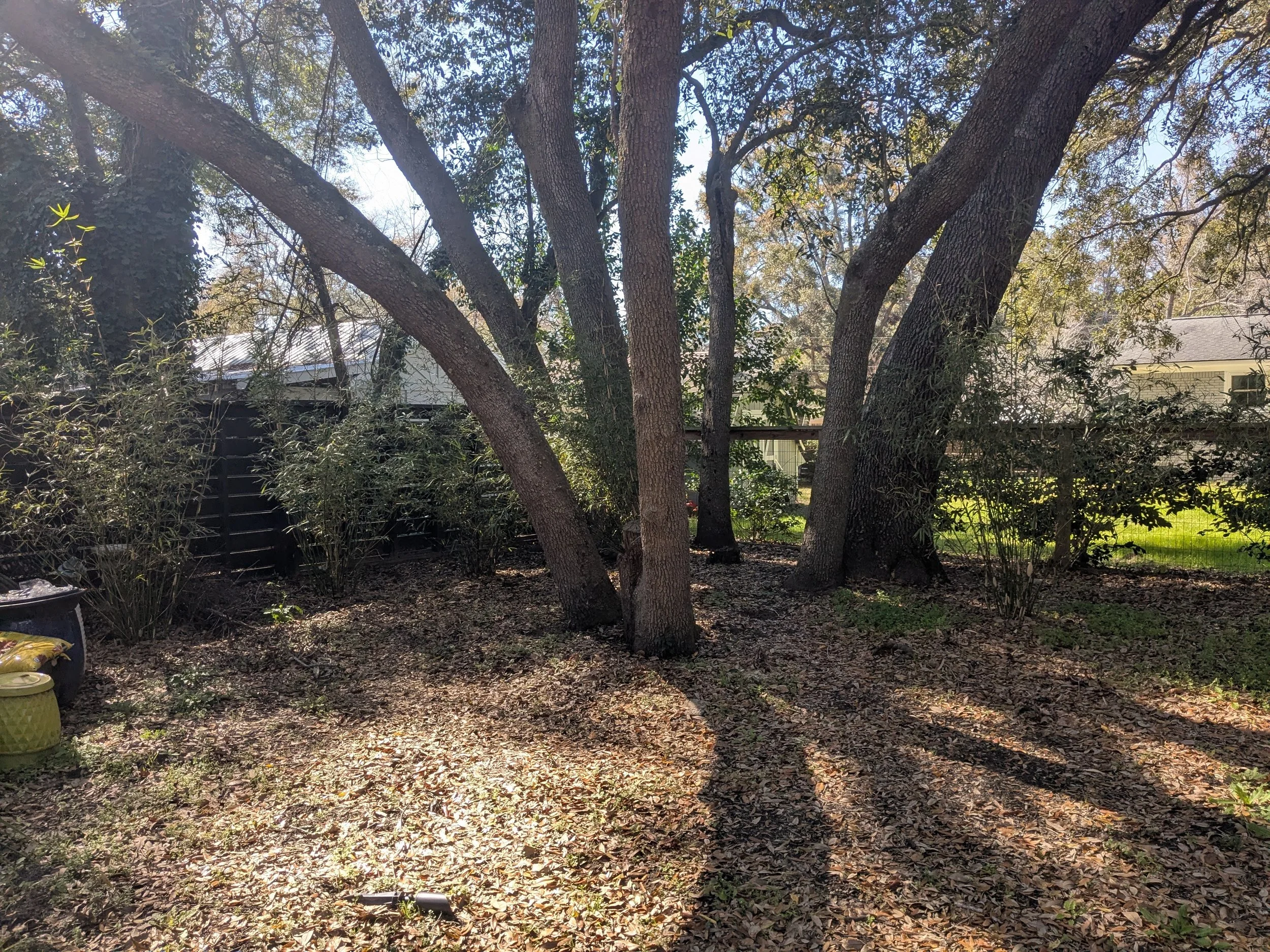 PXL_20250312_194355267.jpg