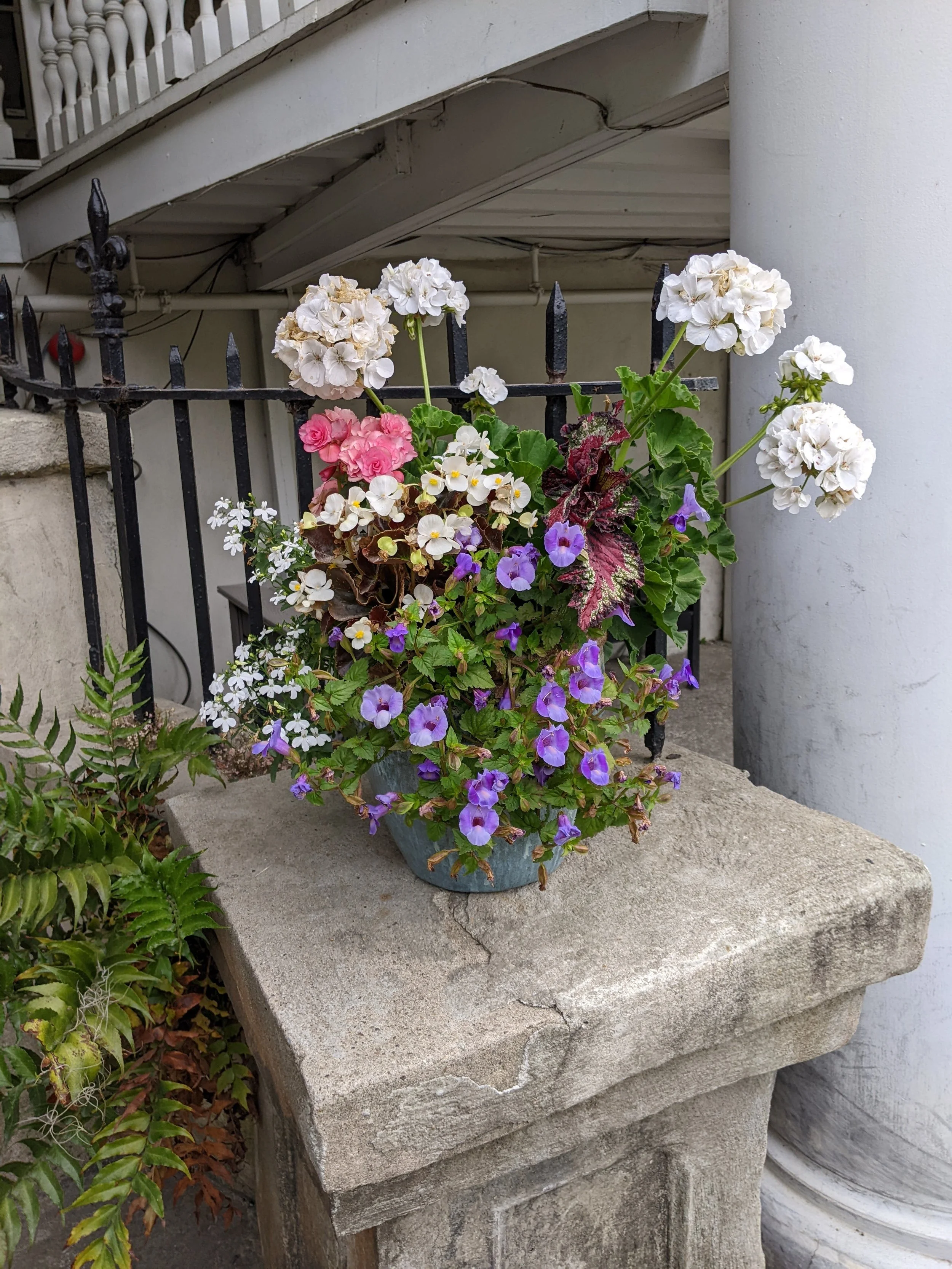 PXL_20220514_130049743.jpg