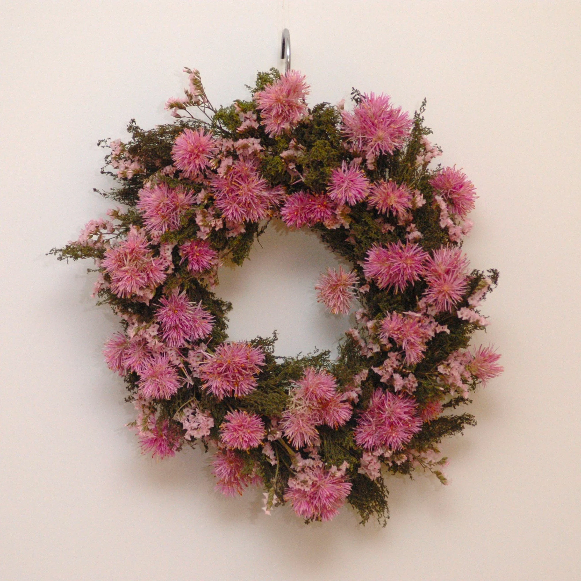 Pink Coral